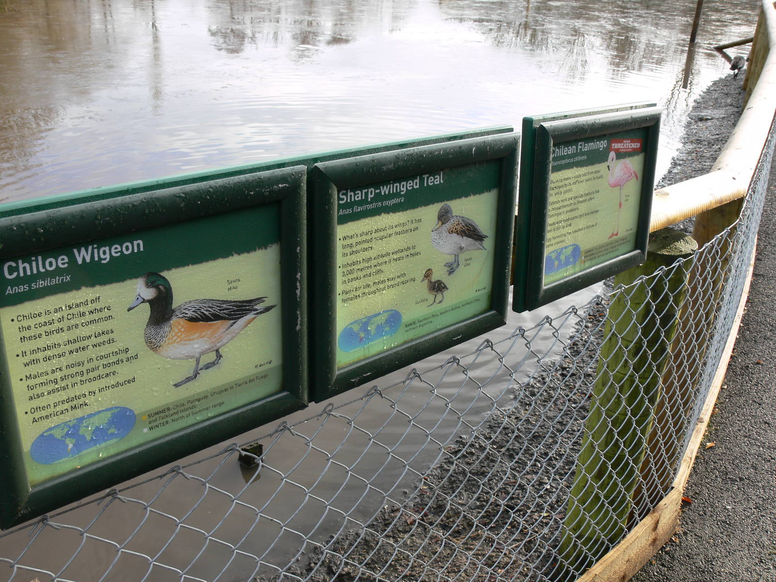 Signage Example at Martin Mere WWT 08/12/12