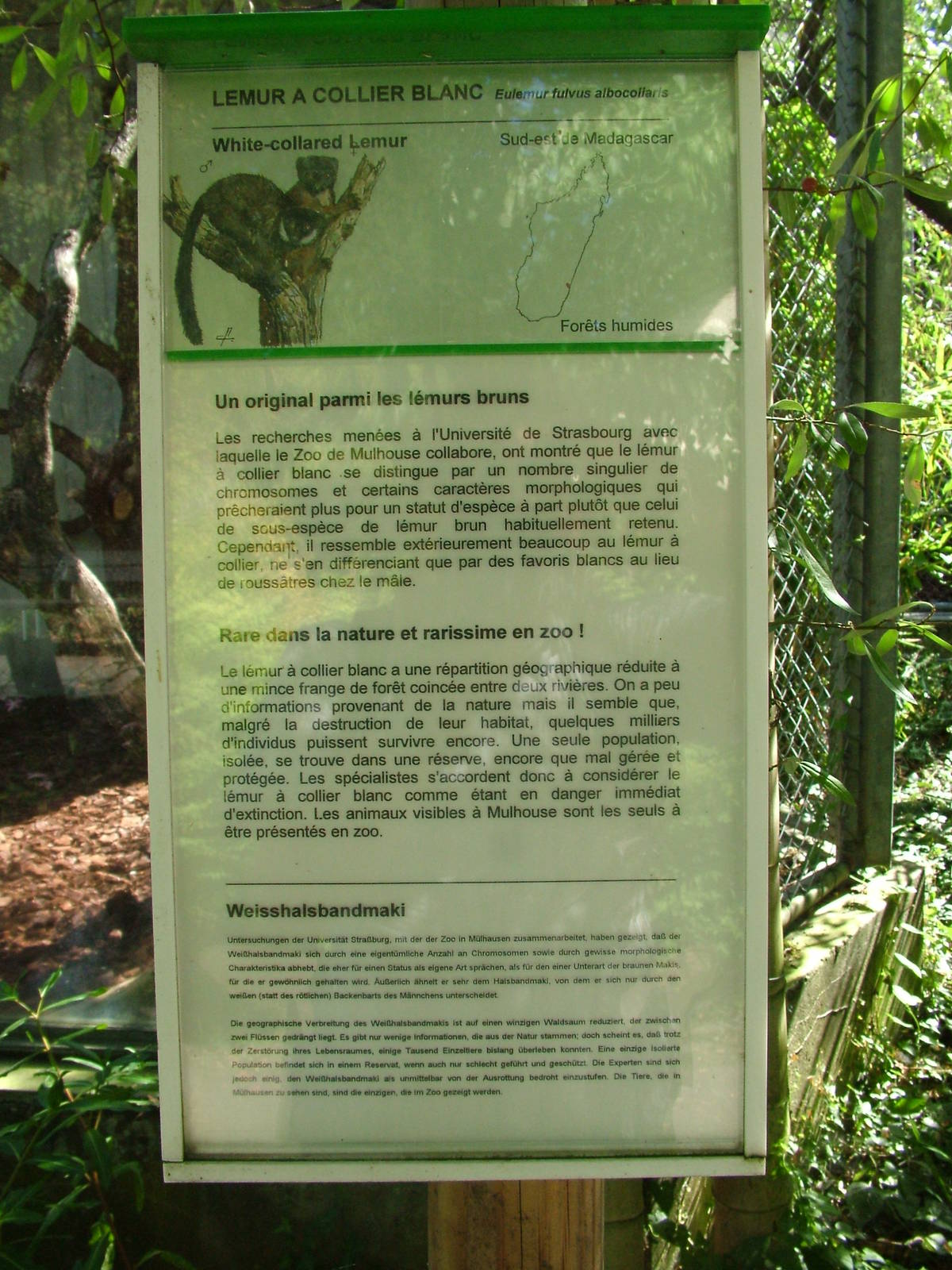 Signage example at Mulhouse 29/08/09