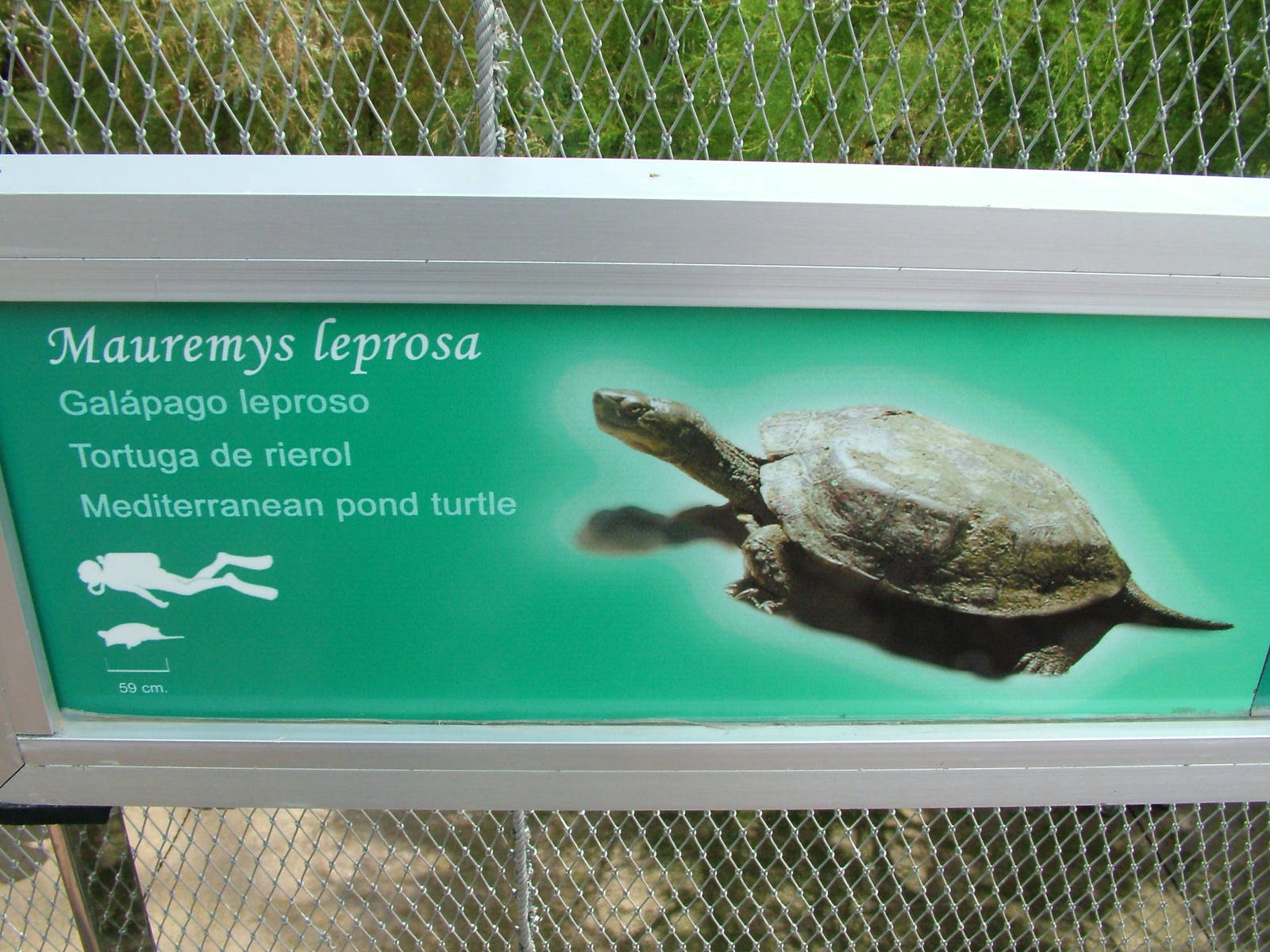 Signage Example at Oceanografic, 29/05/11