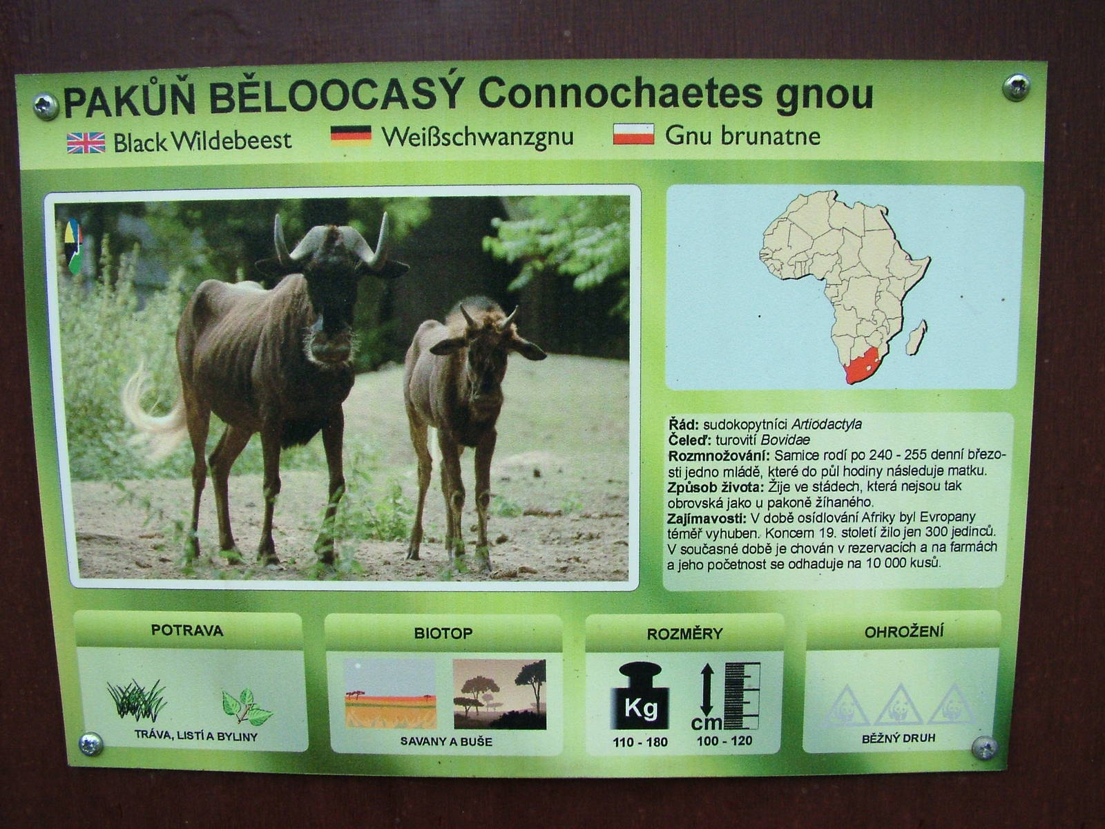 Signage example at Olomouc 30/05/09