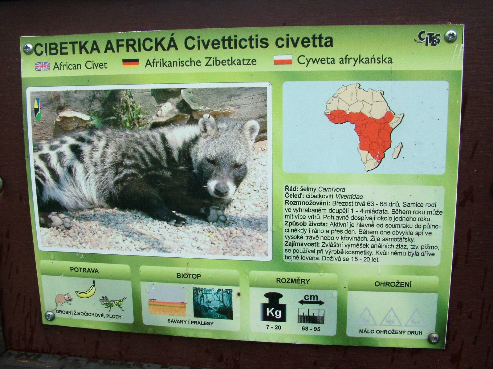 Signage example at Olomouc 30/05/09