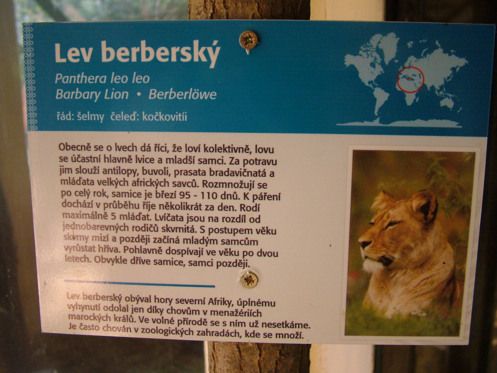 Signage example at Plzen, 25/05/10