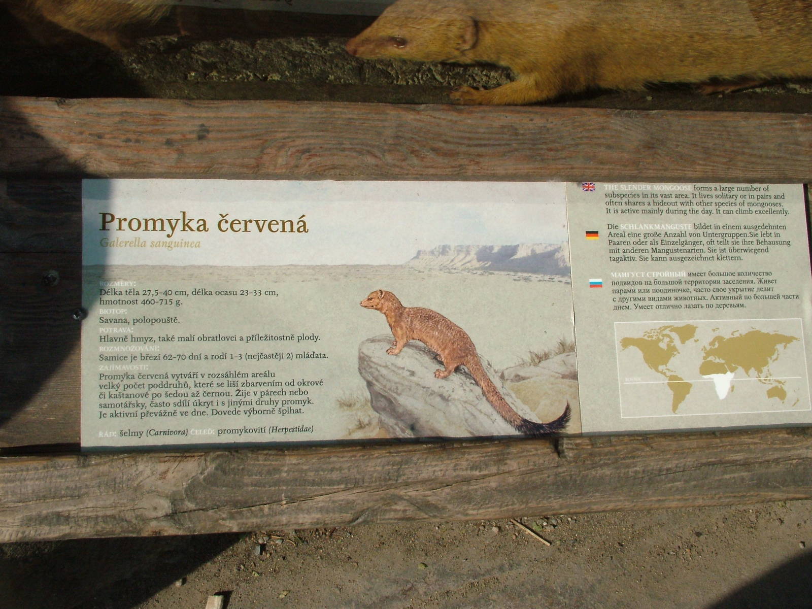 Signage example at Prague, 24/05/10