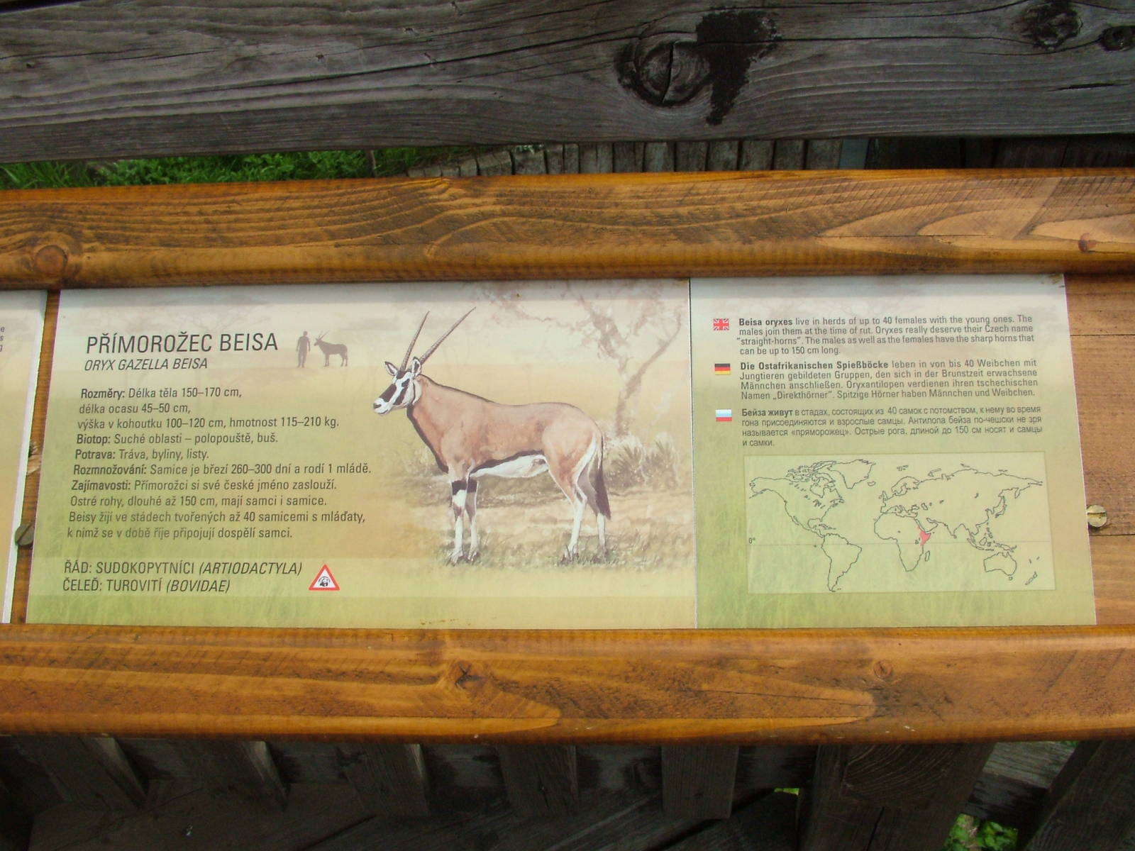 Signage example at Prague, 24/05/10