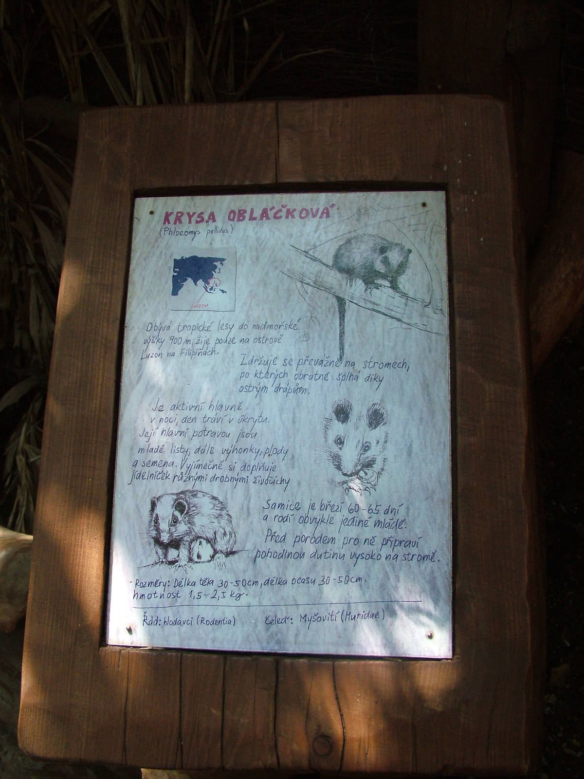 Signage Example at Prague, 24/05/10