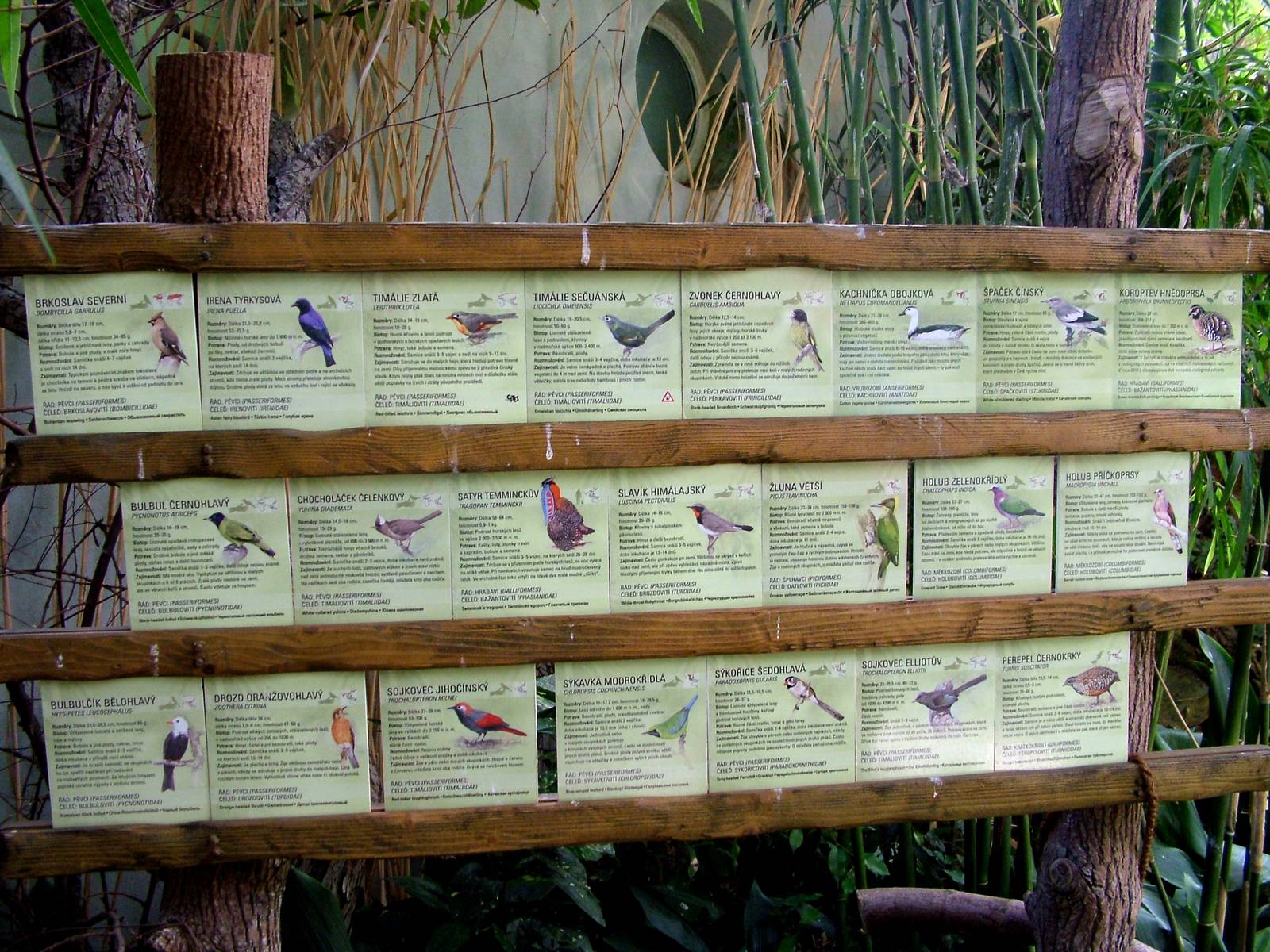 Signage Example at Prague, 25/08/12