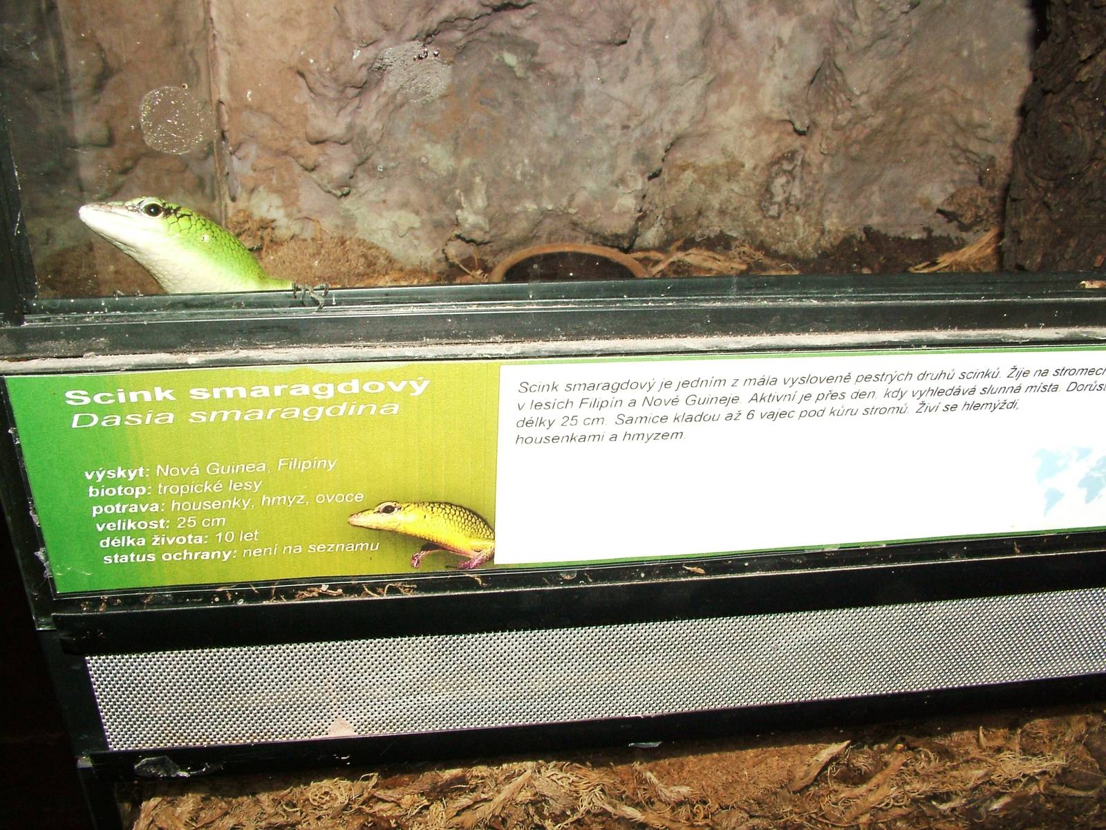 Signage Example at Prague Terrarium, 26/08/12
