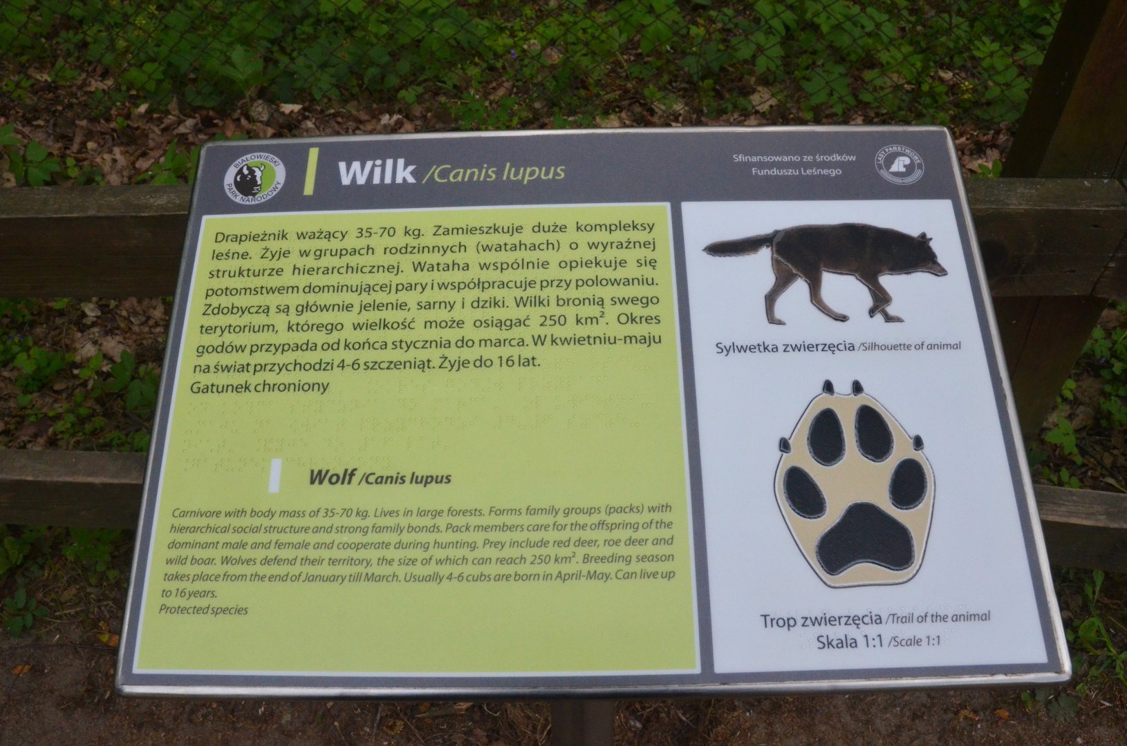 Signage Example at Rezerwat Pokazowy Żubrów, Białowieża 07/05/19