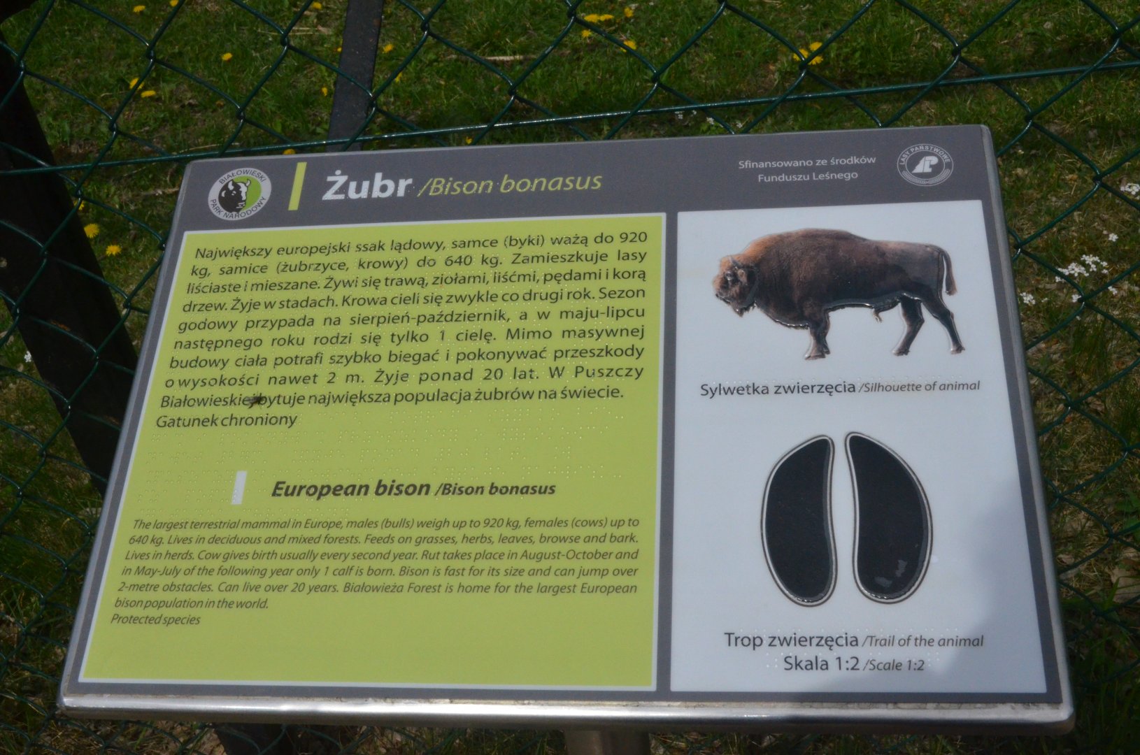Signage Example at Rezerwat Pokazowy Żubrów, Białowieża 07/05/19