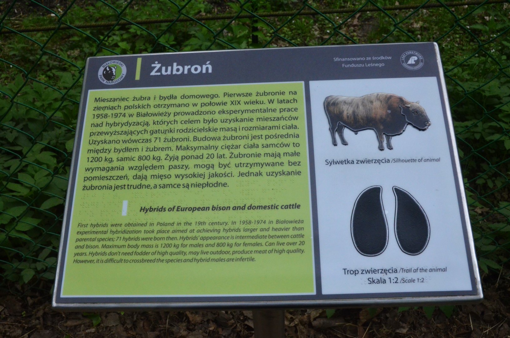 Signage Example at Rezerwat Pokazowy Żubrów, Białowieża 07/05/19