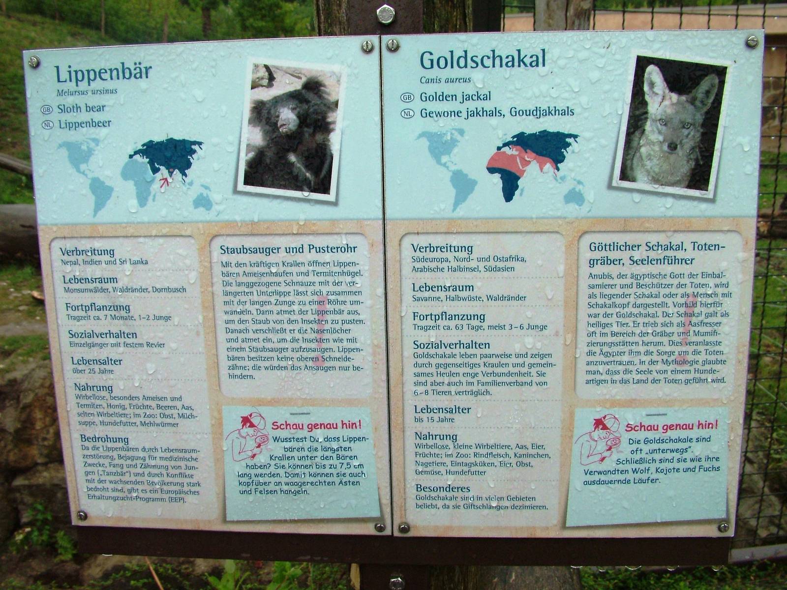 Signage Example at Rheine, 03/06/12