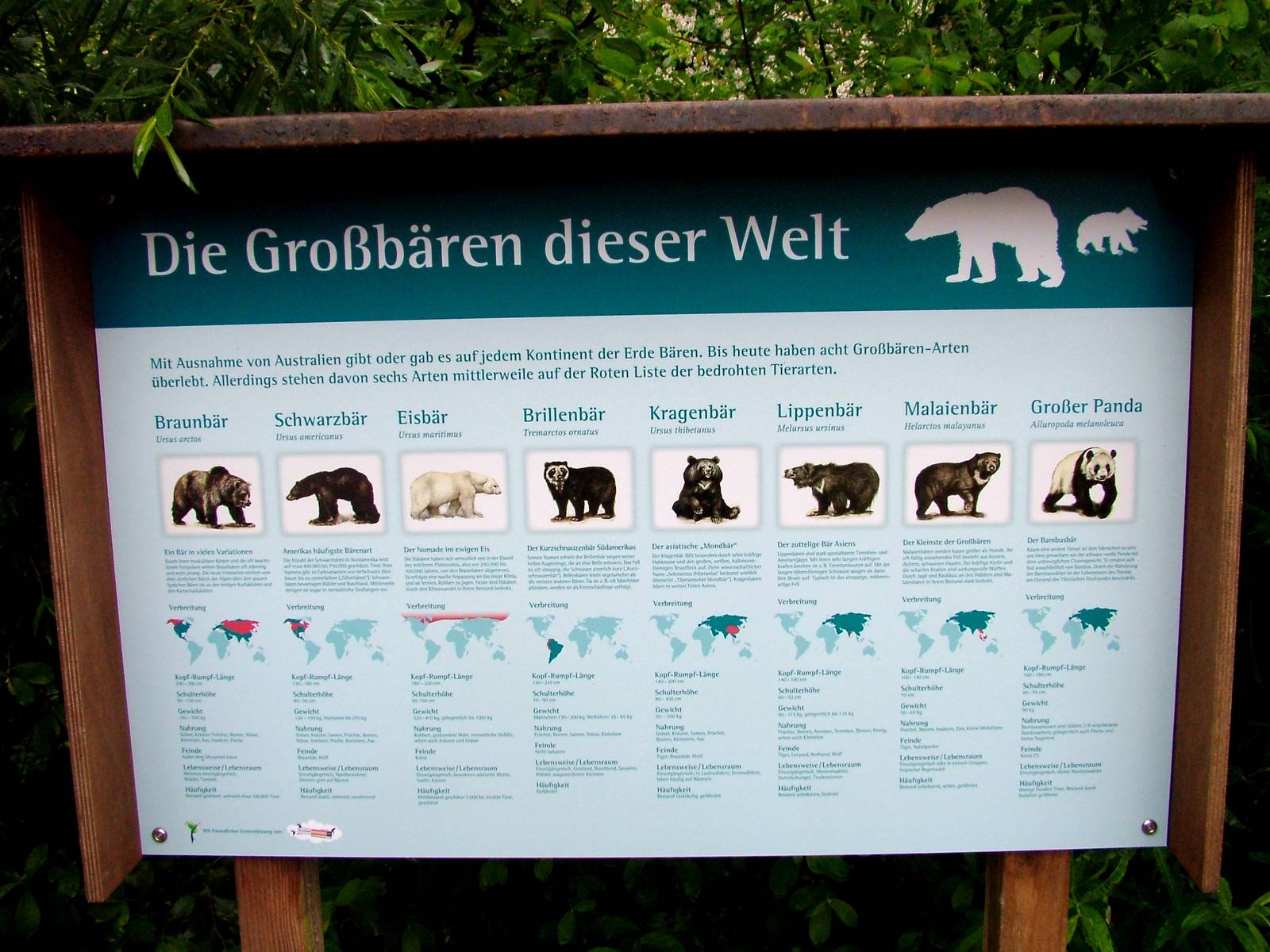 Signage Example at Rheine, 03/06/12