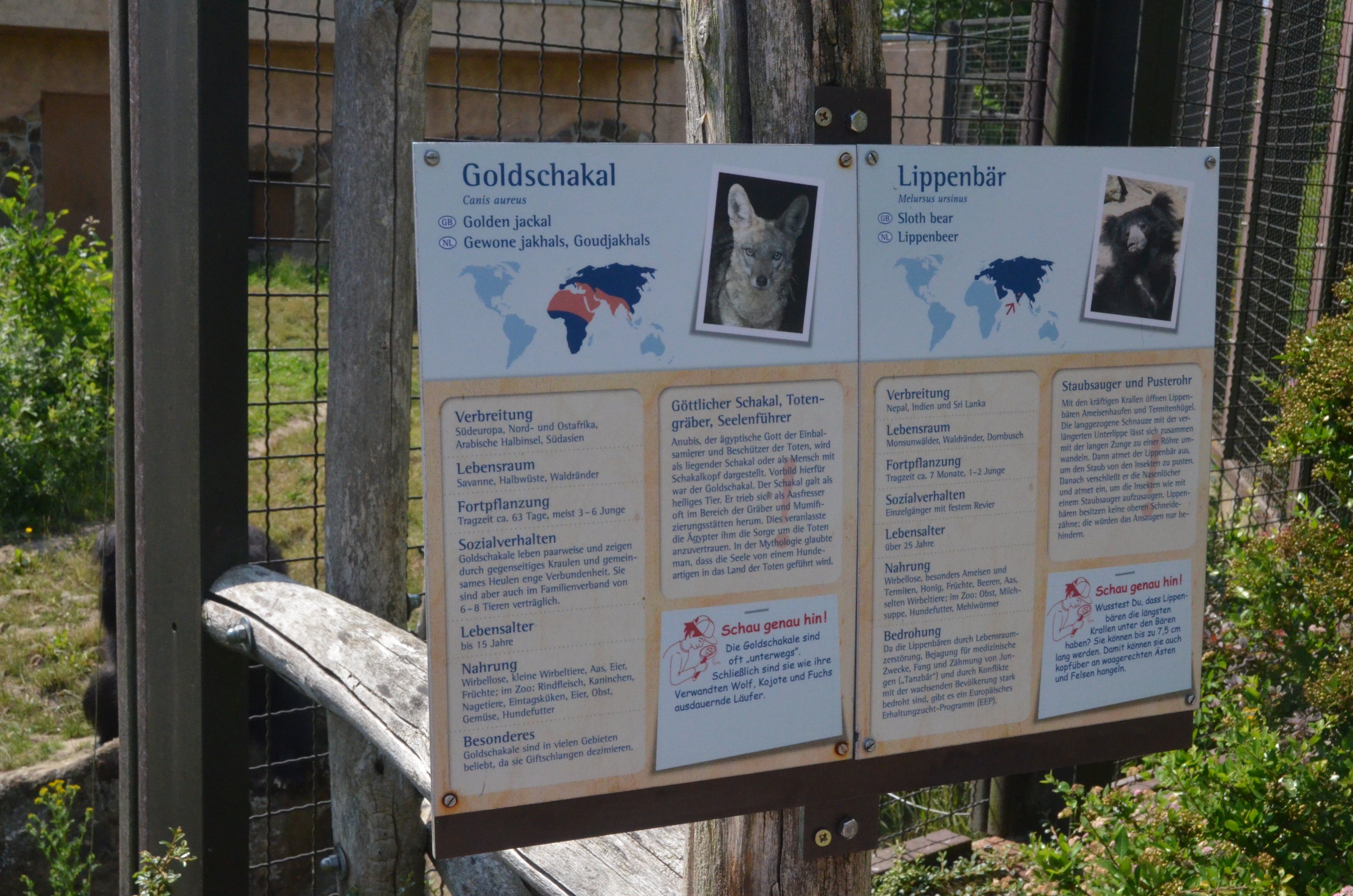 Signage Example at Rheine, 18/06/19