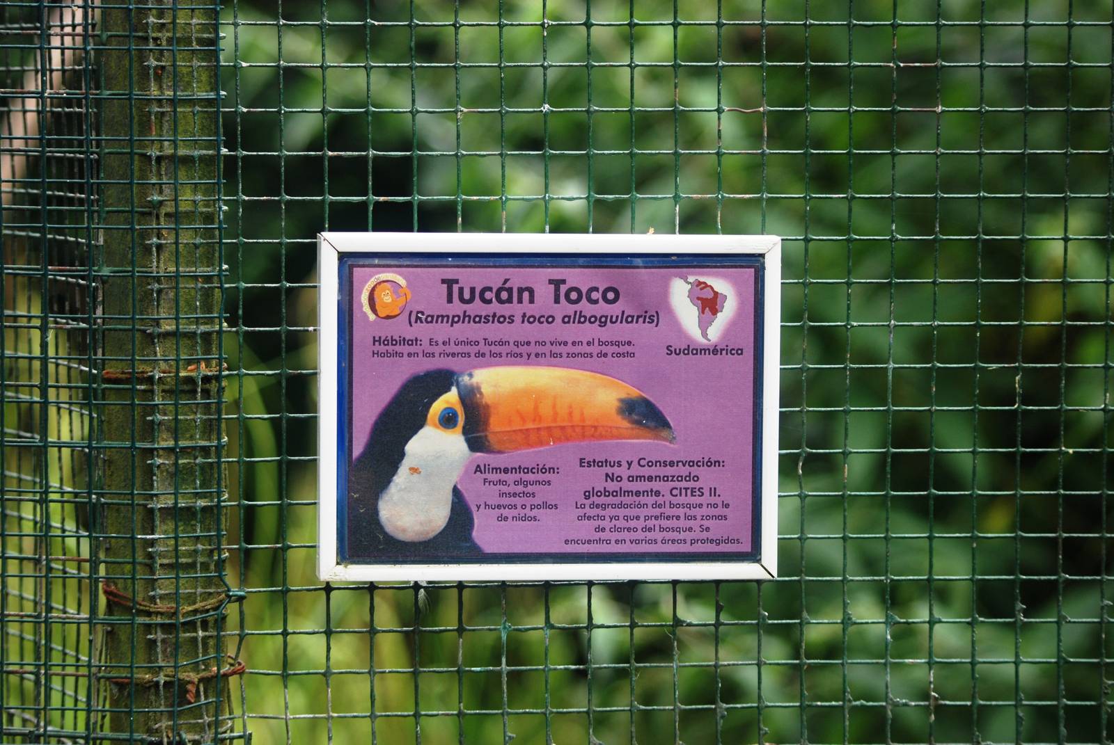 Signage Example at Santillana del Mar, 13/06/15