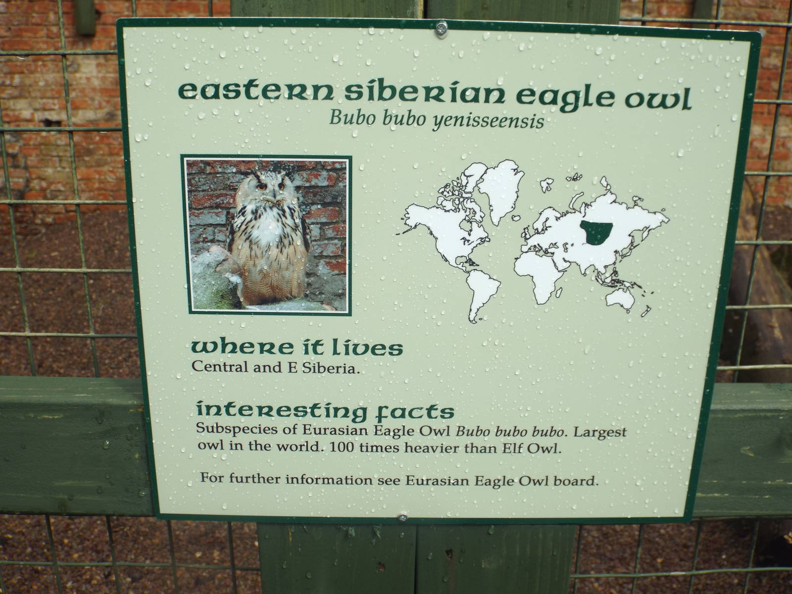 Signage Example at Scottish Owl Centre - May 6th 2015