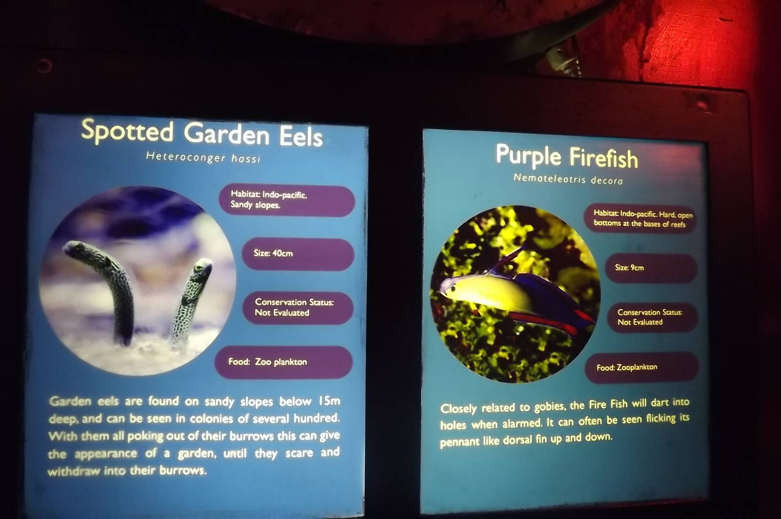 Signage example at SEA LIFE Blackpool 30/06/12