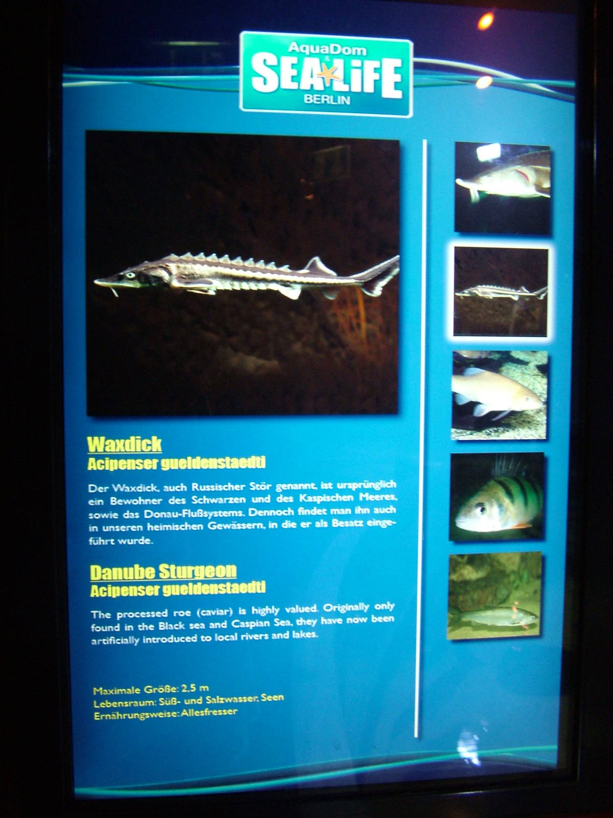 Signage Example at SeaLife Berlin, 05/09/11