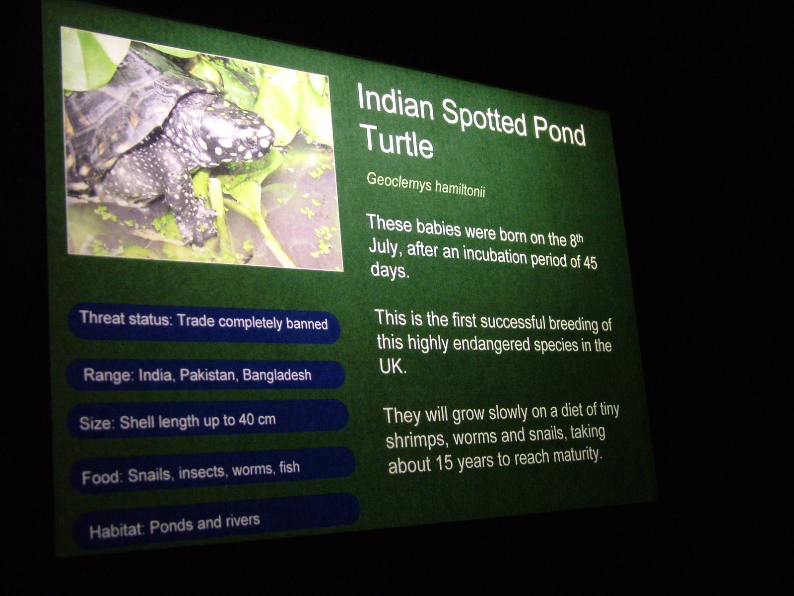 Signage example at SeaLife Birmingham 28/02/10