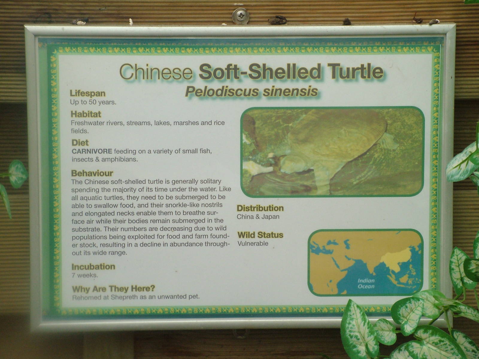 Signage example at Shepreth 05/04/10