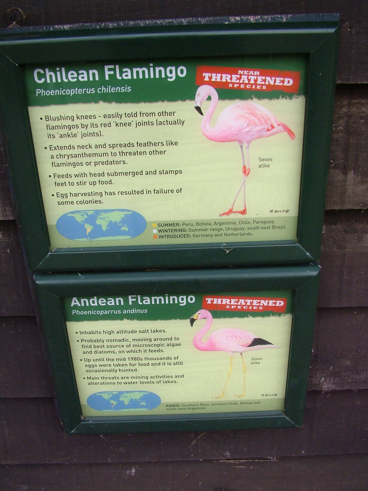 Signage example at Slimbridge 06/02/10