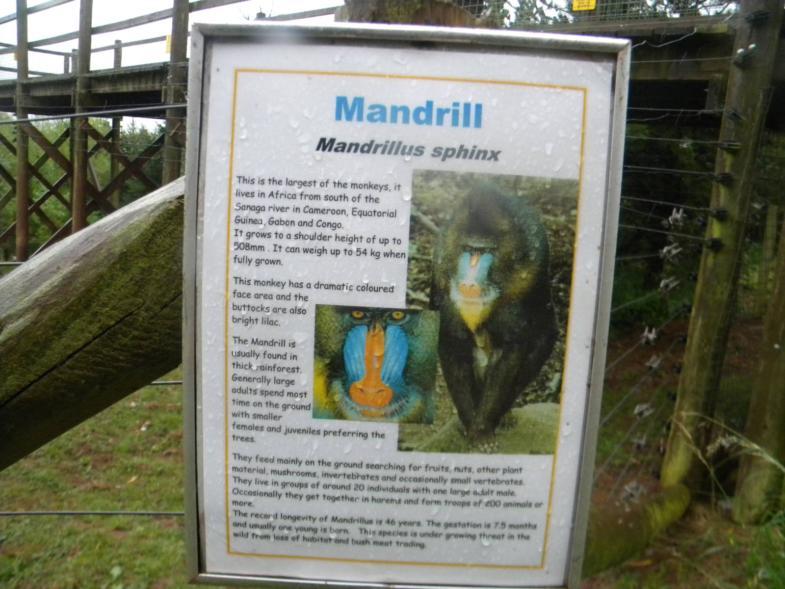 Signage example at SLWAP 16/07/11