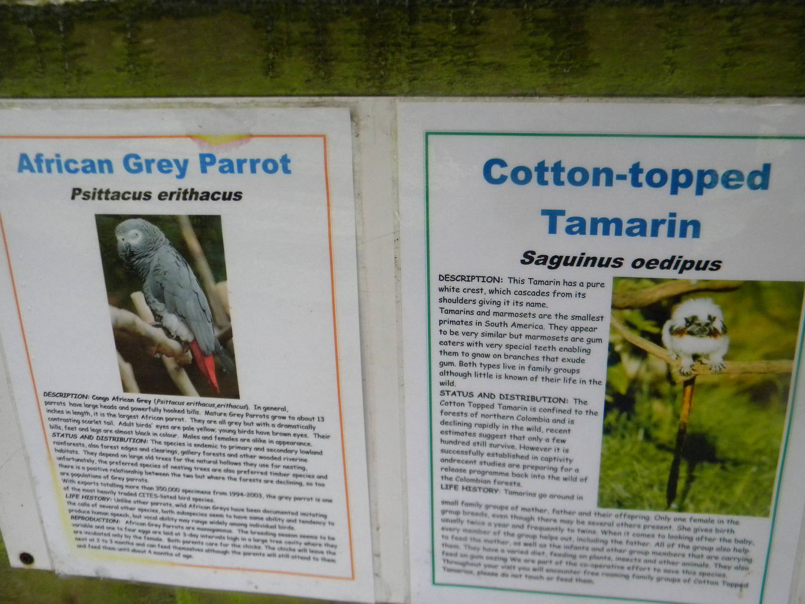 Signage example at SLWAP 16/07/11