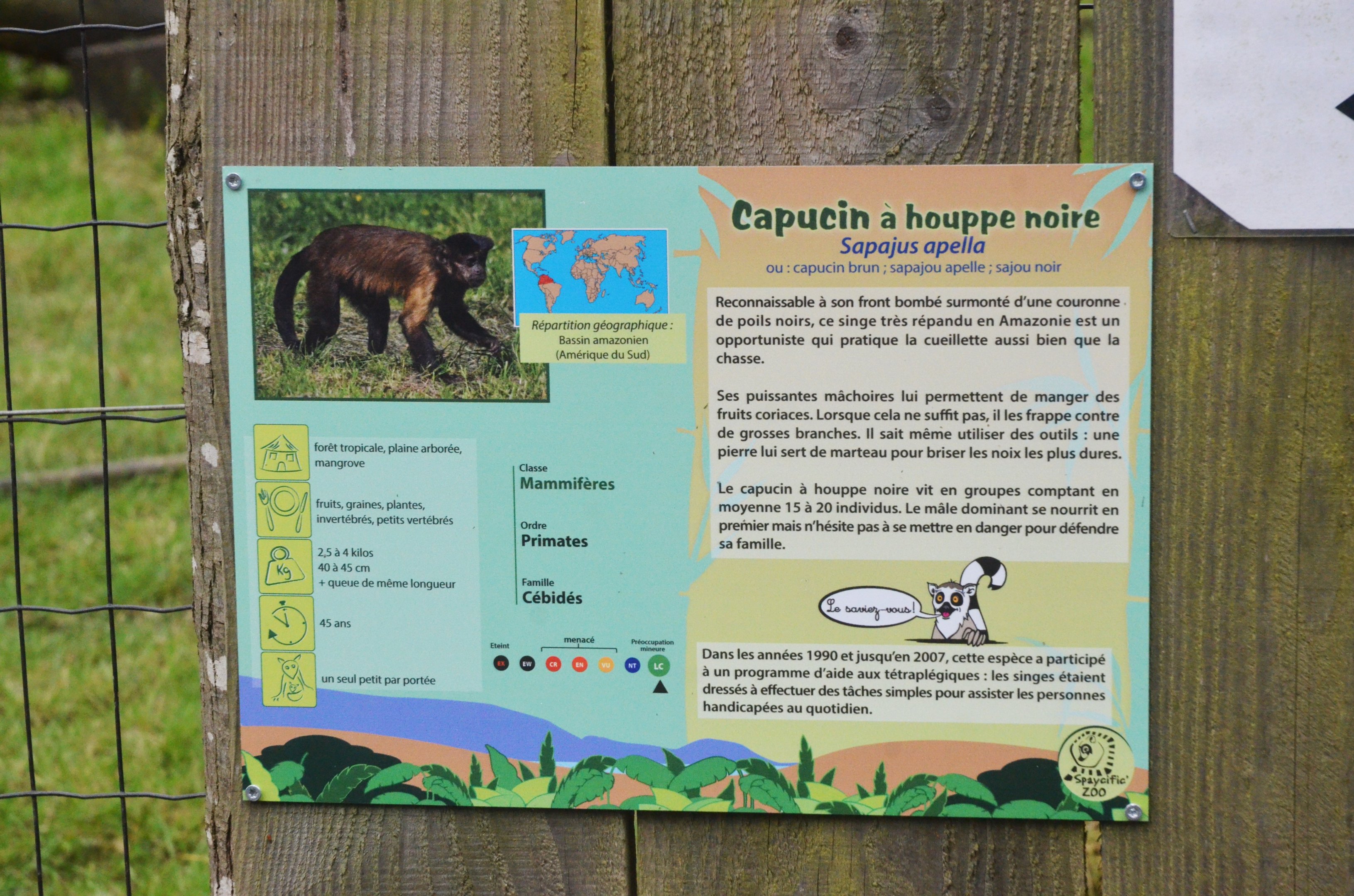 Signage Example at Spaycific'Zoo, 13/06/18