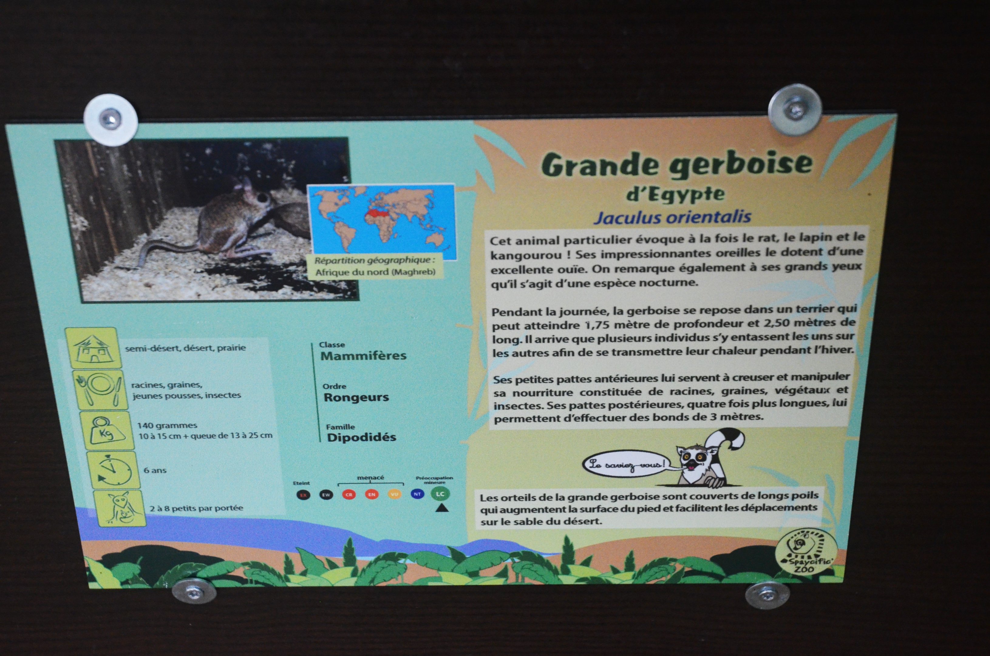 Signage Example at Spaycific'Zoo, 13/06/18