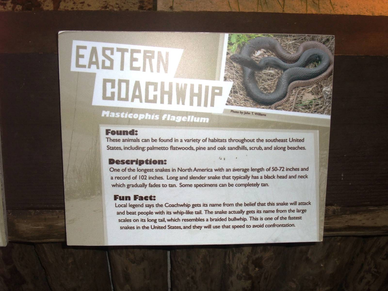 Signage Example at St. Augustine, 11/10/13