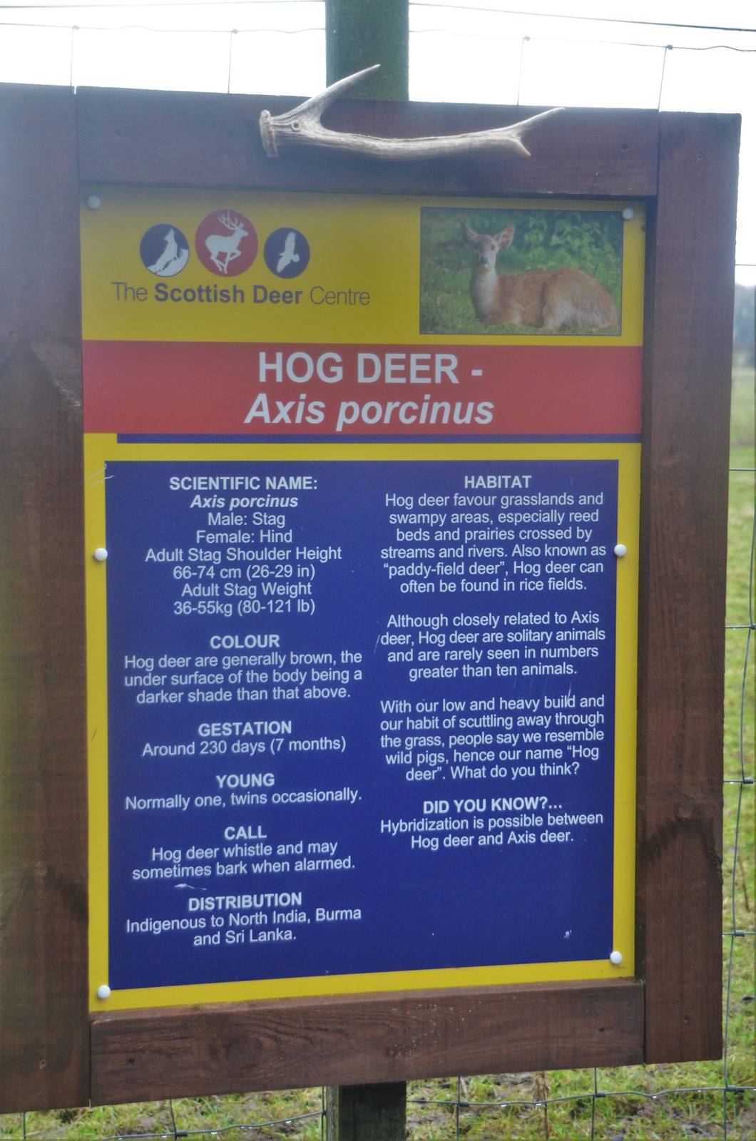 Signage Example at the Scottish Deer Centre, 06/02/16