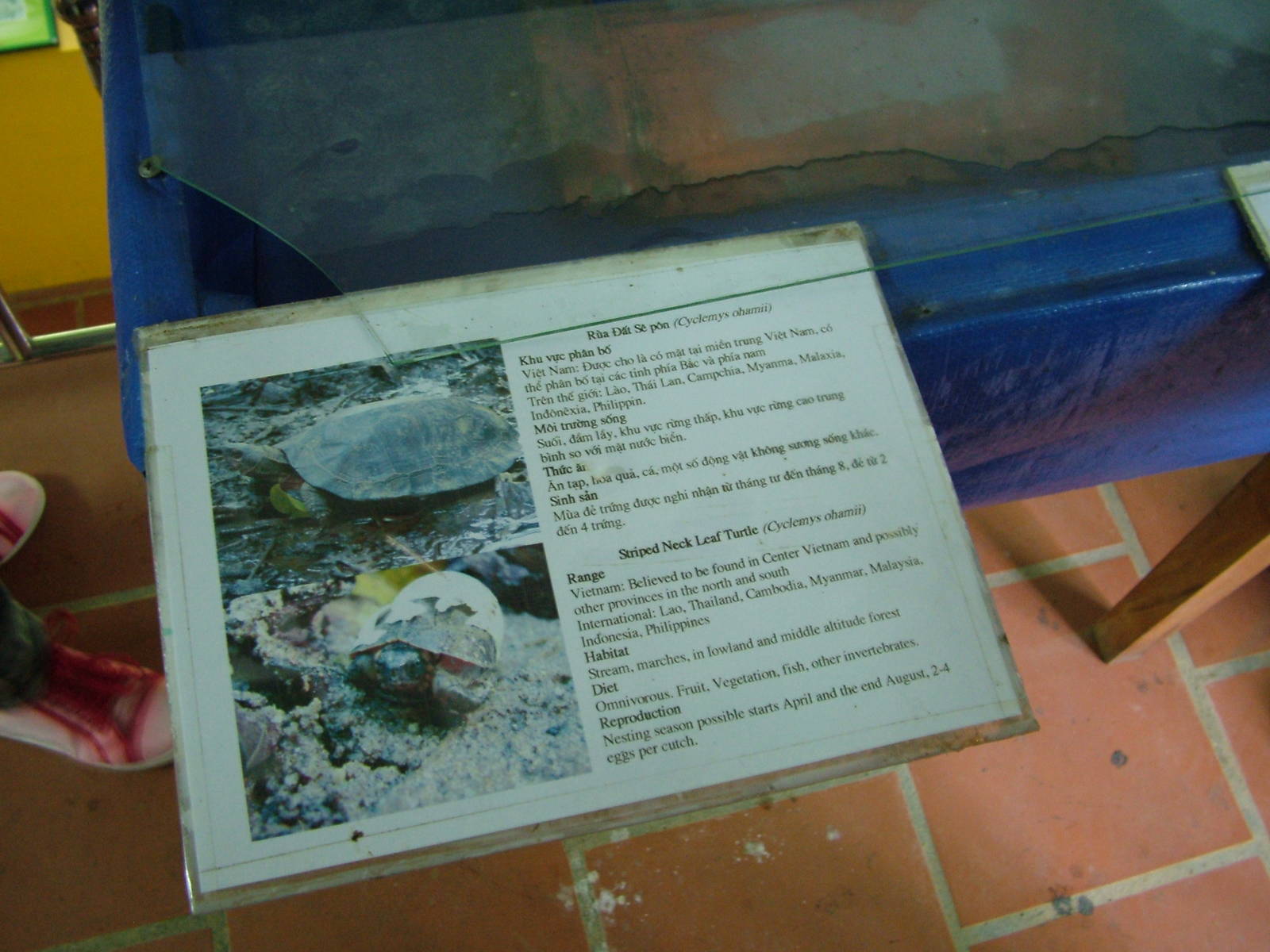 Signage Example at the Turtle Centre, Cuc Phuong, 10/03/12