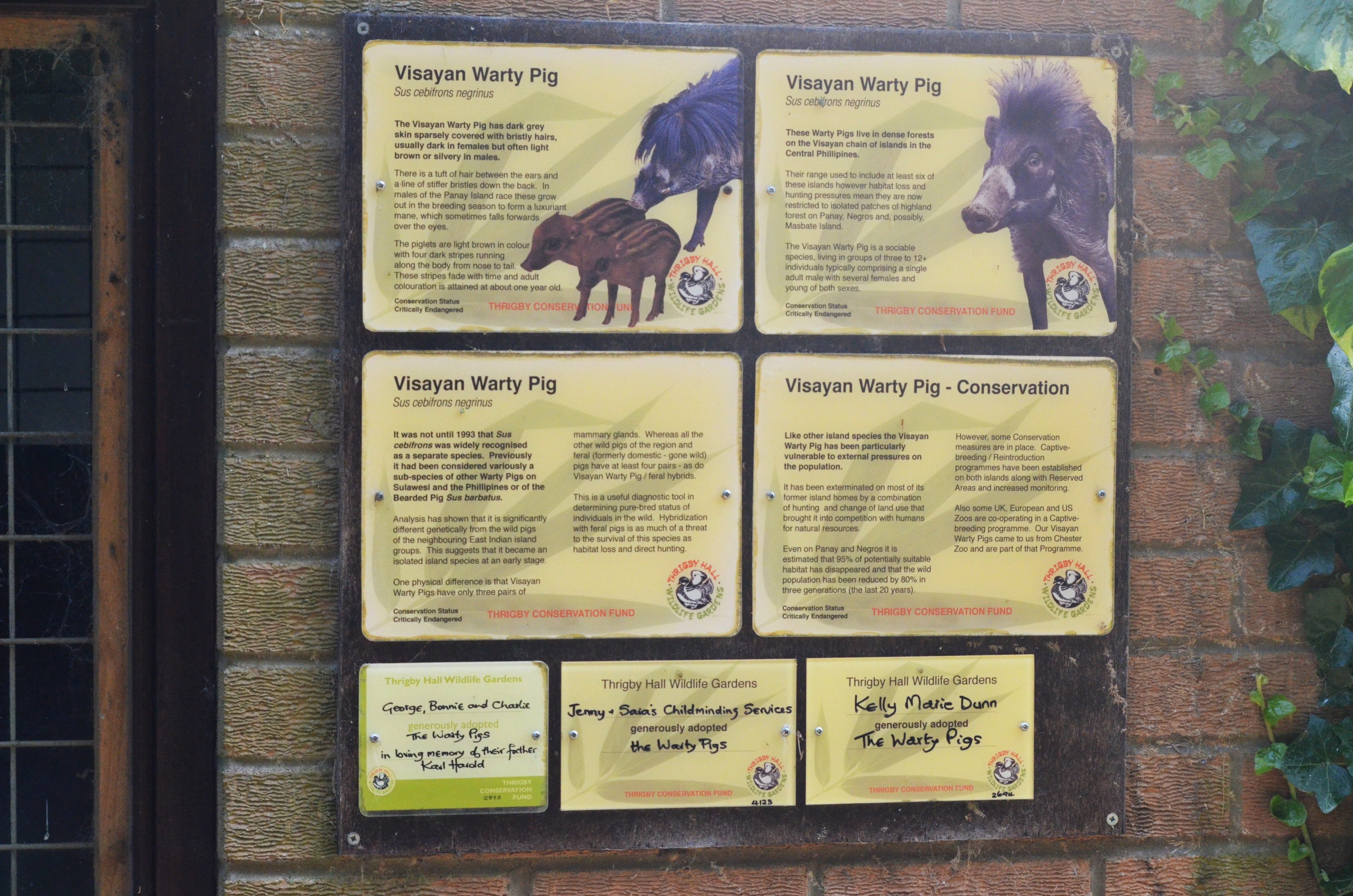 Signage Example at Thrigby Hall, 10/06/17