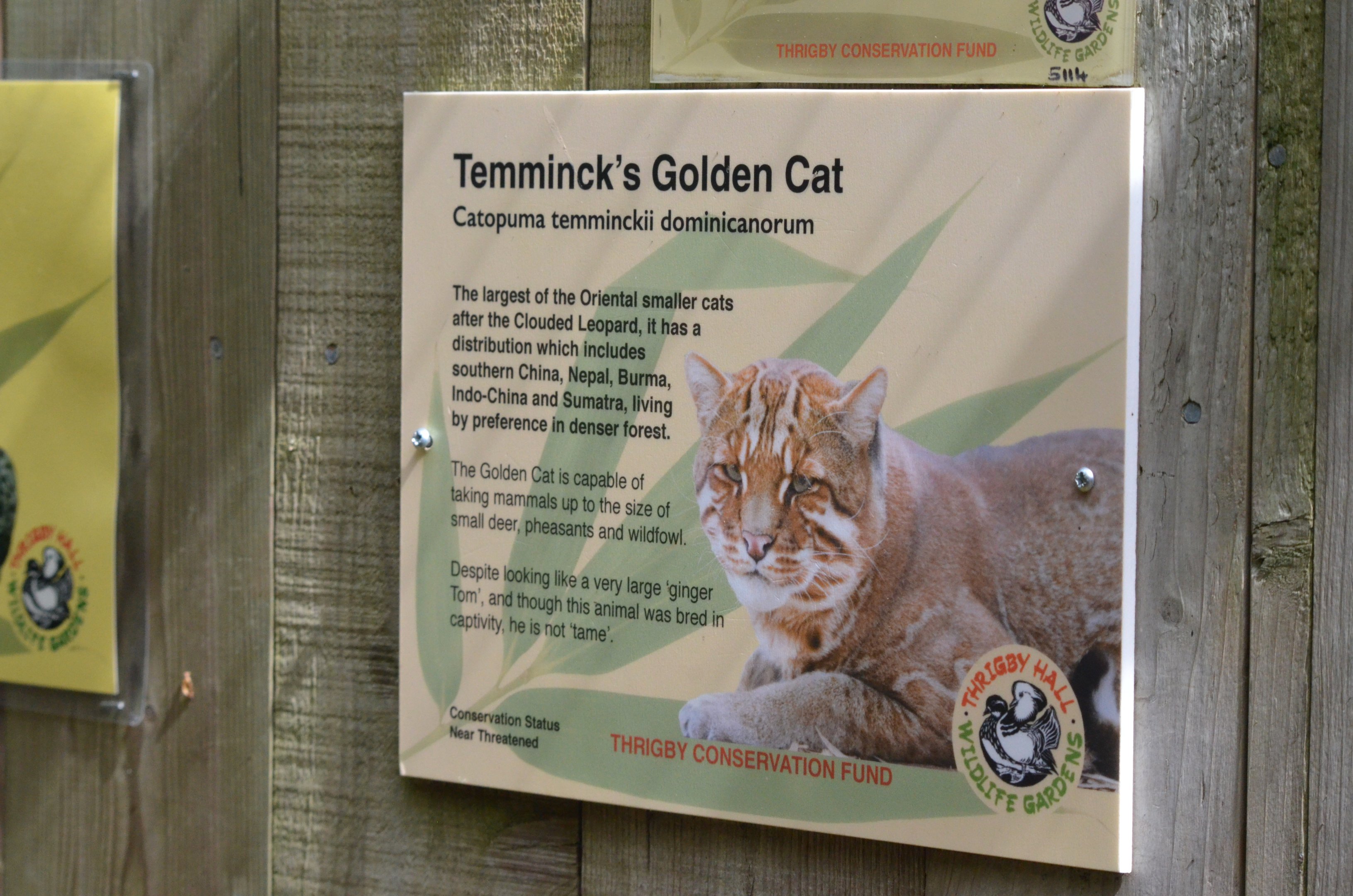 Signage Example at Thrigby Hall, 10/06/17