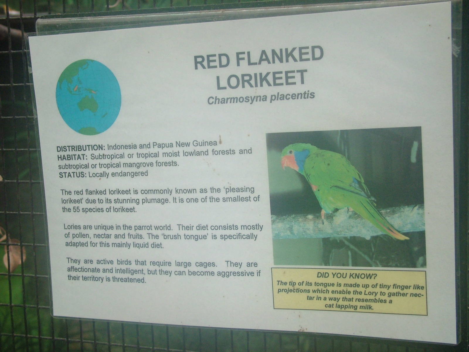 Signage Example at Tropical Wings 29/11/09