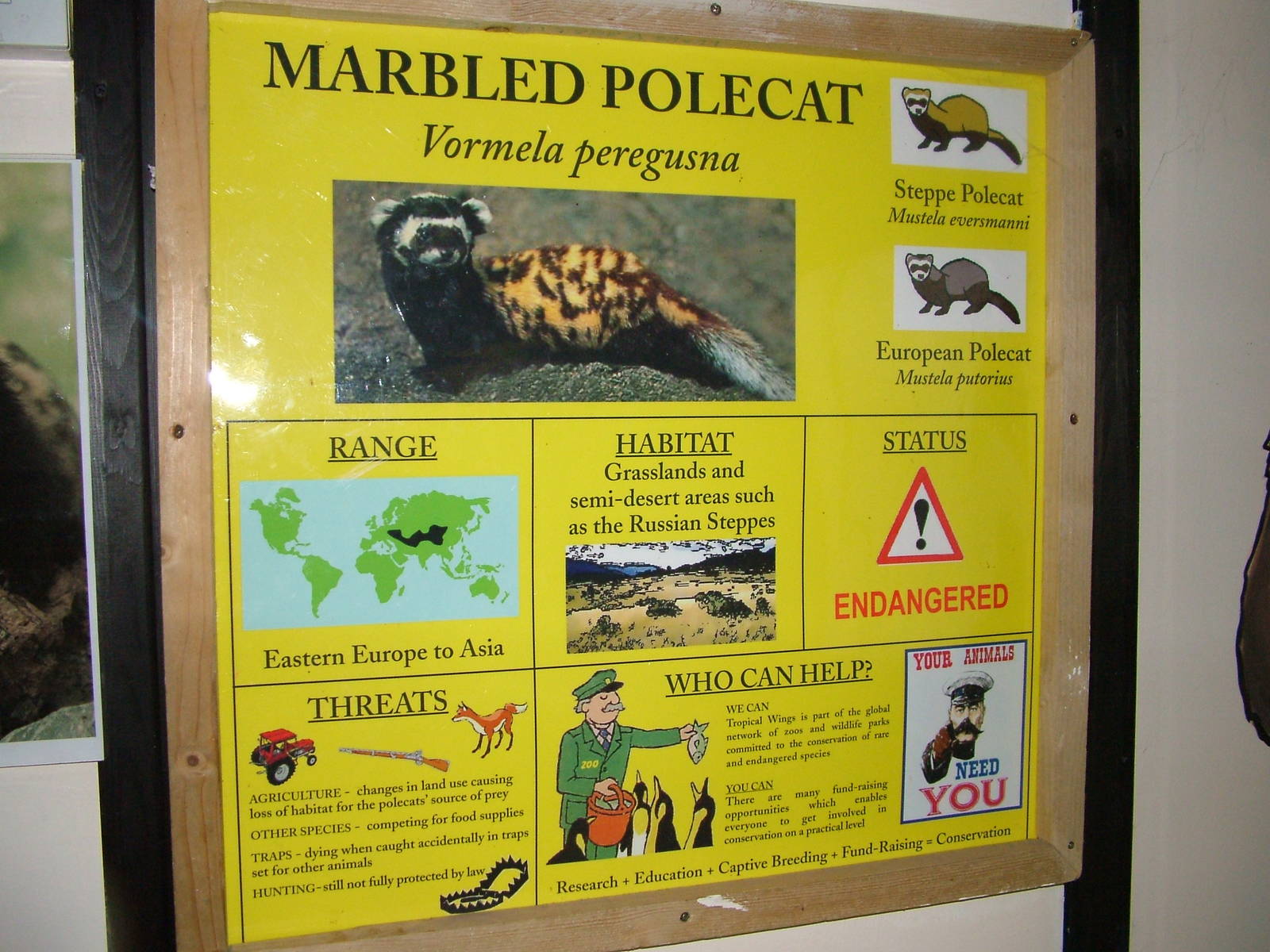 Signage example at Tropical Wings 29/11/09