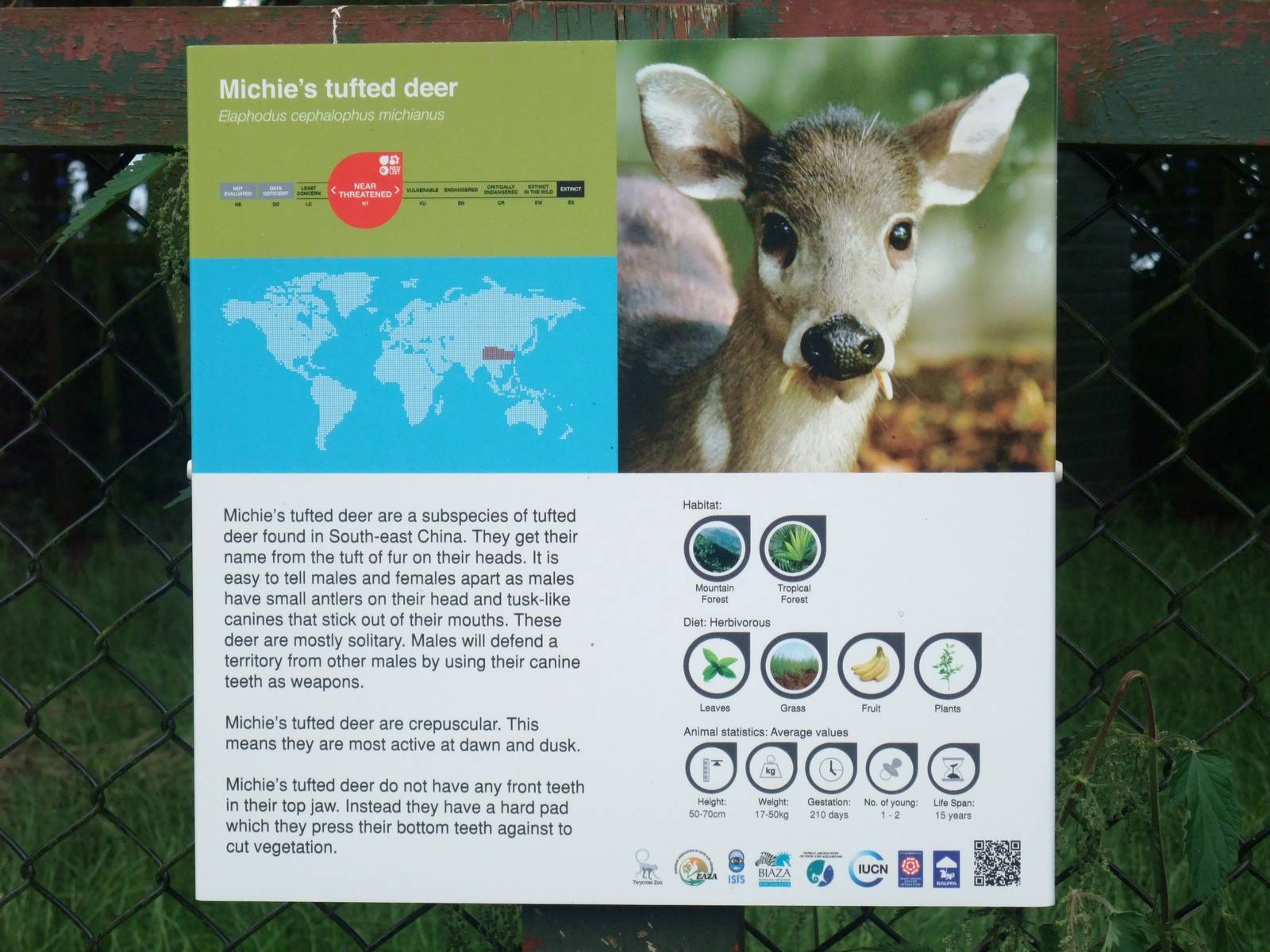 Signage Example at Twycross, 01/07/12