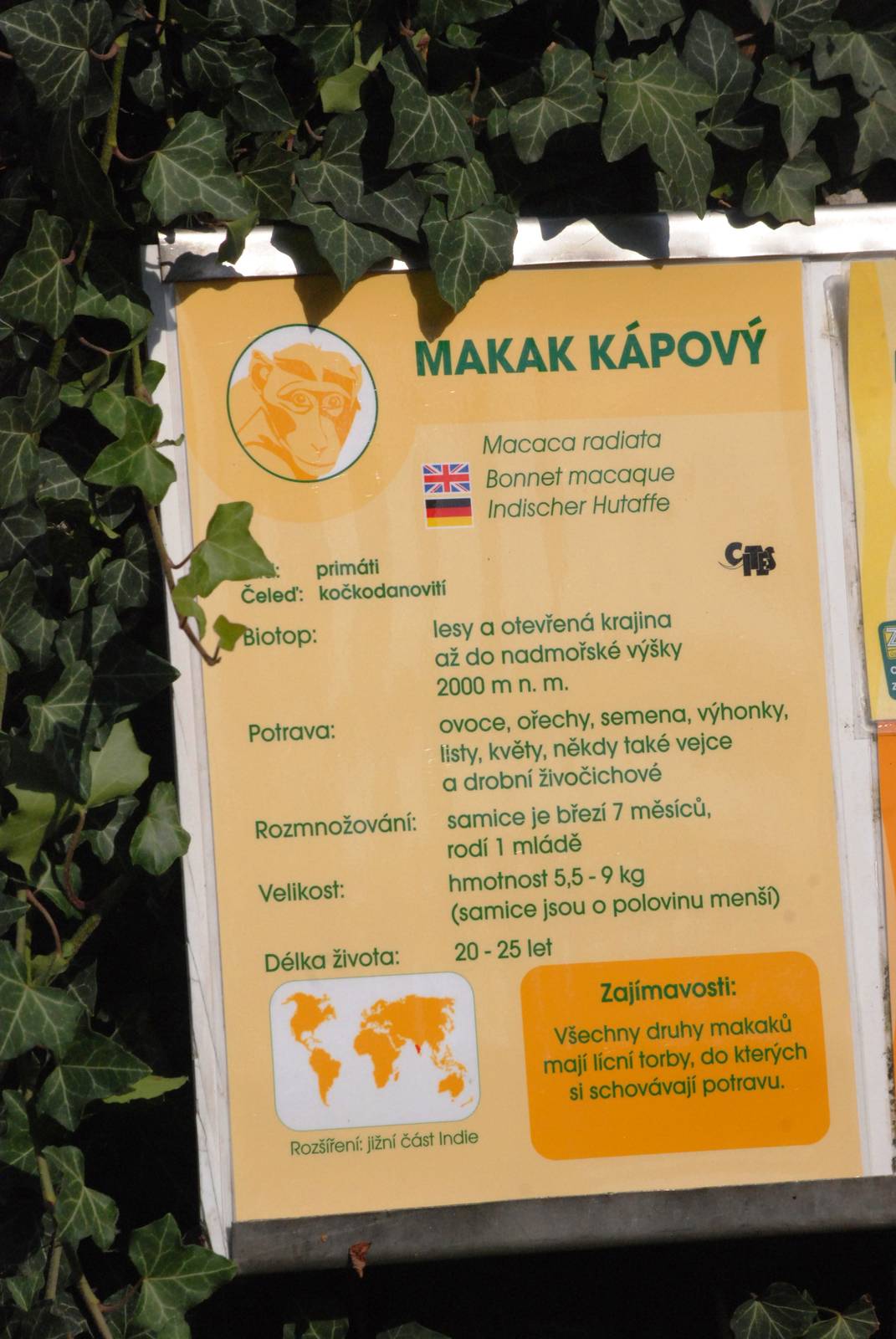 Signage Example at Usti, 29/08/12