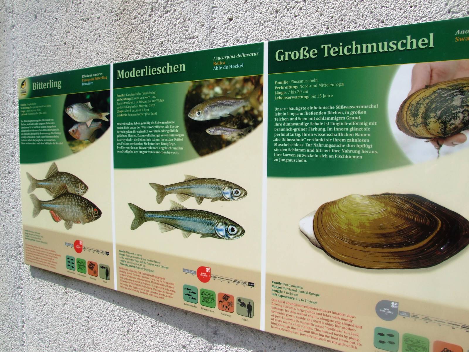 Signage Example at Vienna, 14/06/13