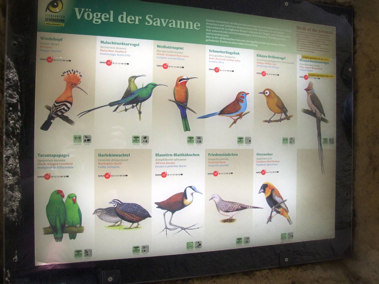 Signage Example at Vienna, 14/06/13