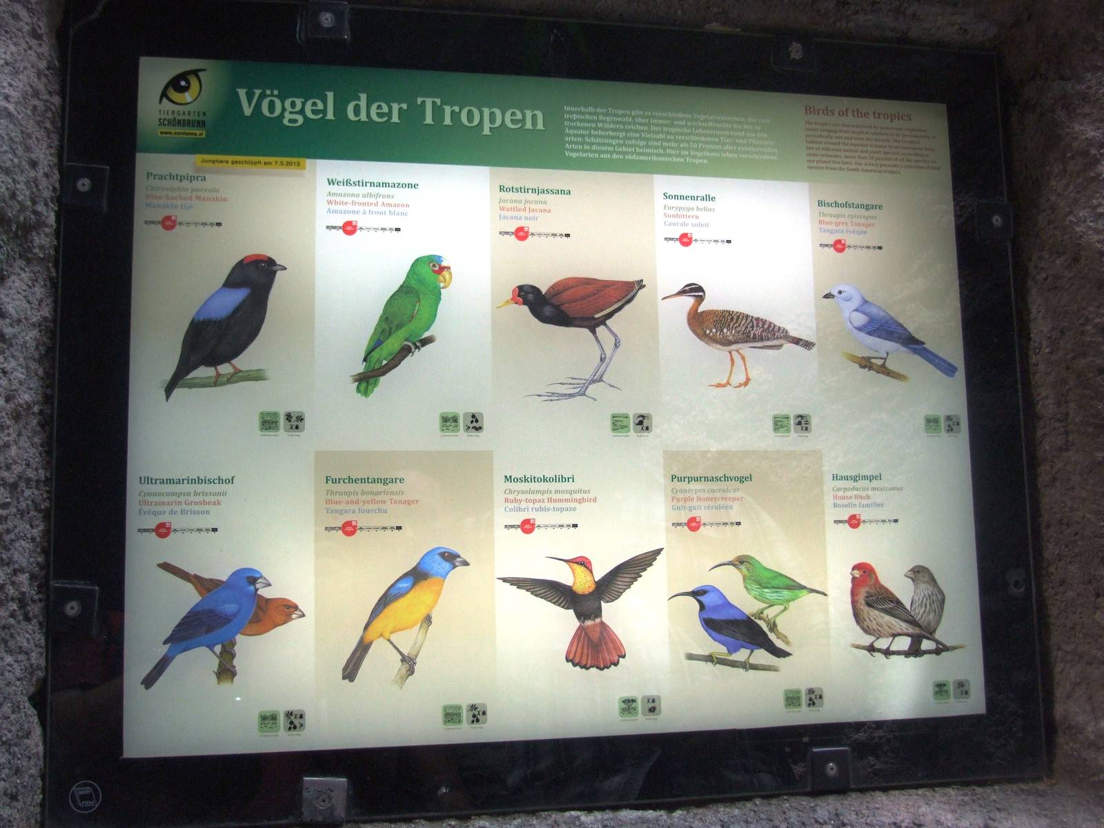 Signage Example at Vienna, 14/06/13