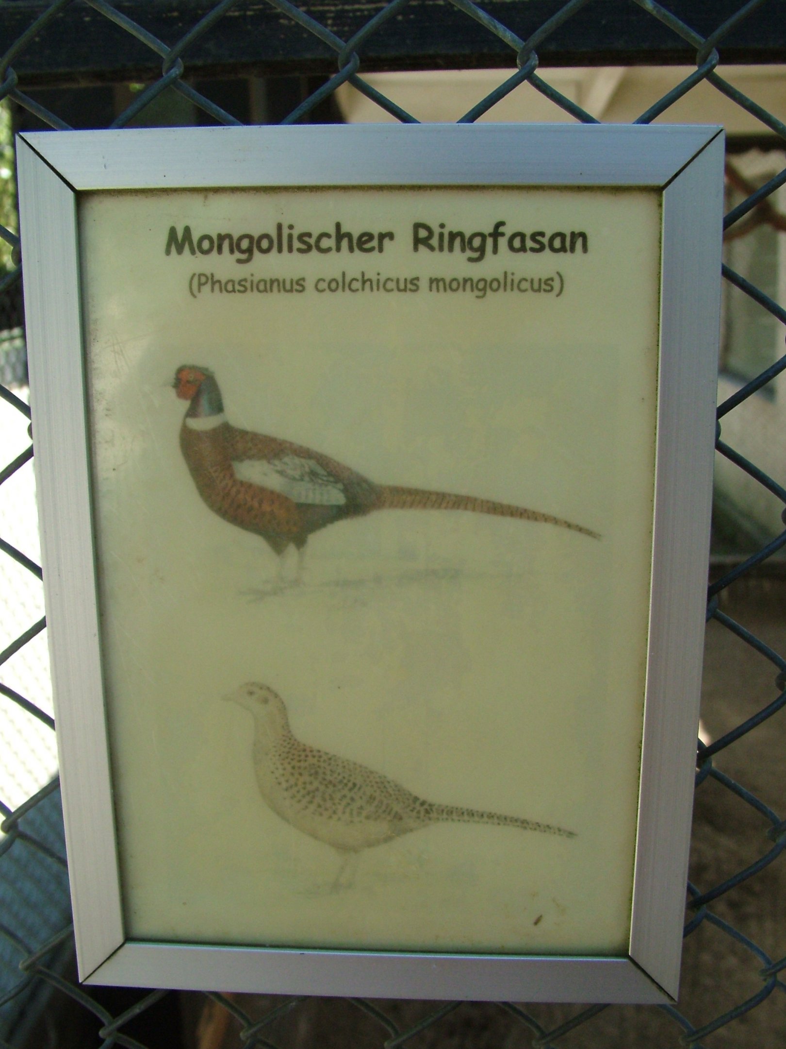 Signage Example at Vogelpark Birkenheide, 6th Sept 2010
