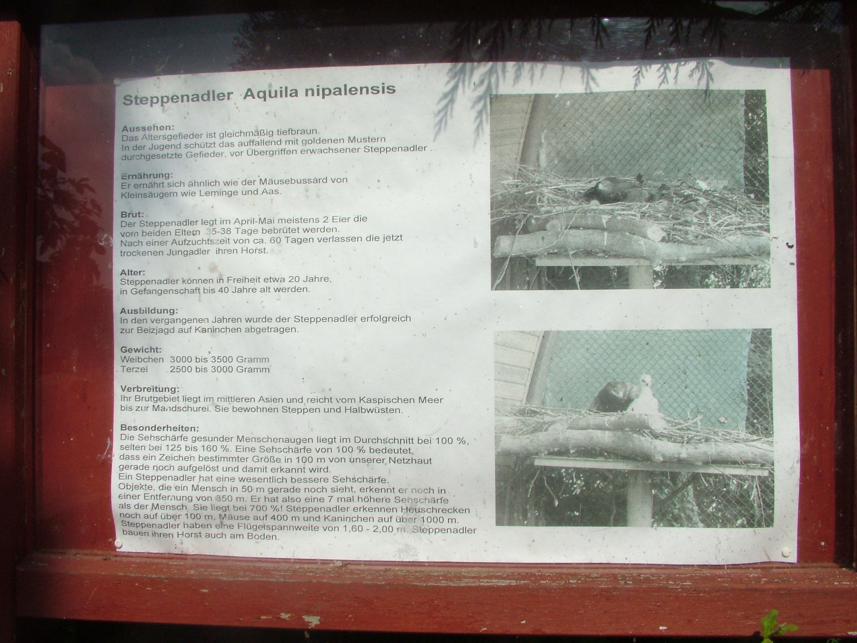 SIgnage Example at Vogelpark Neuthard, 3rd Sept 2010