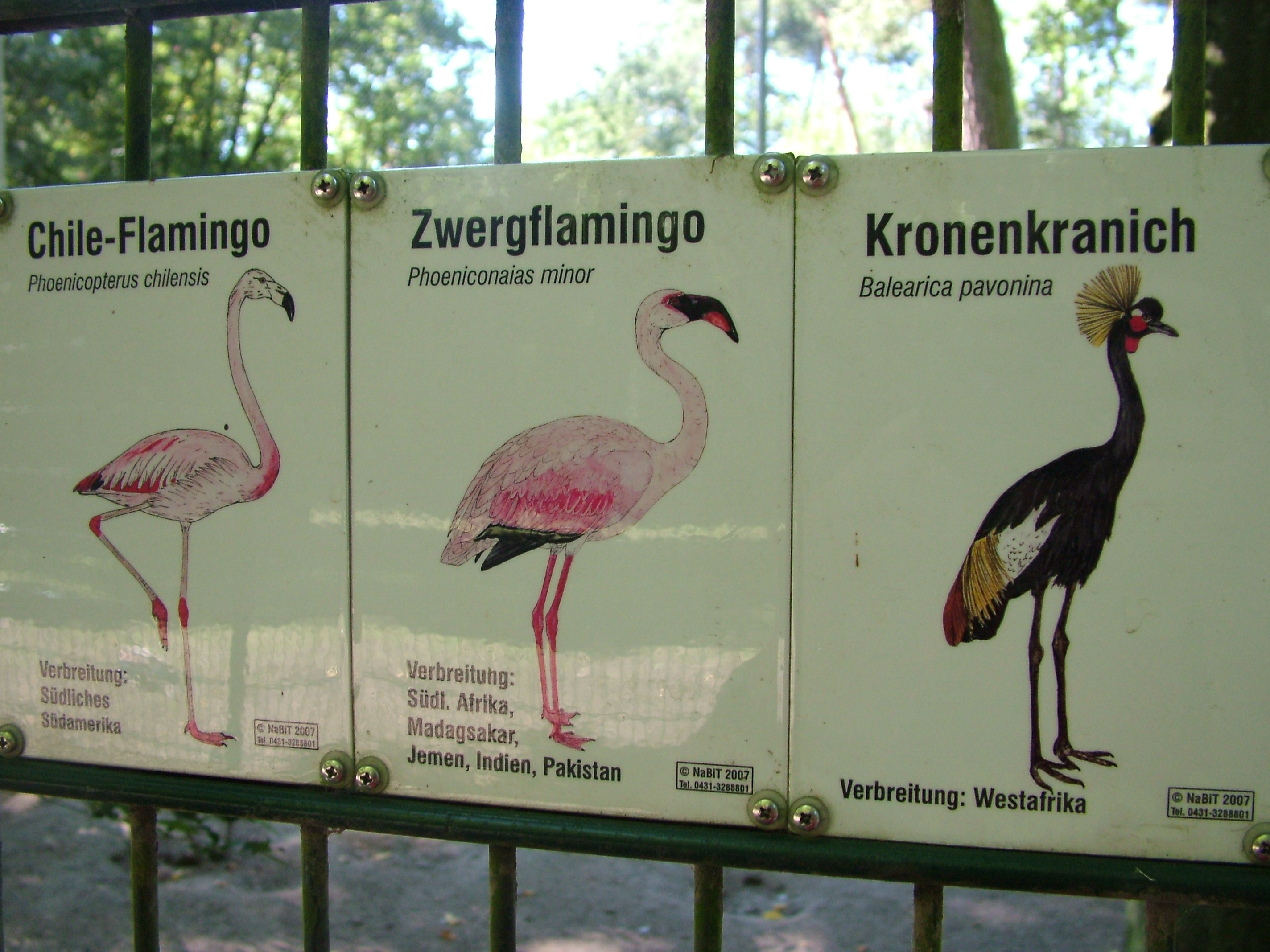 Signage Example at Vogelpark Schifferstadt, 6th Sept 2010