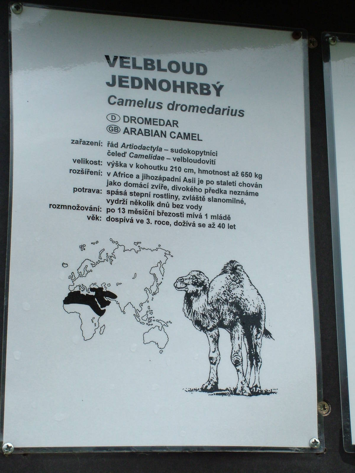 Signage example at Vyskov, 30/05/10