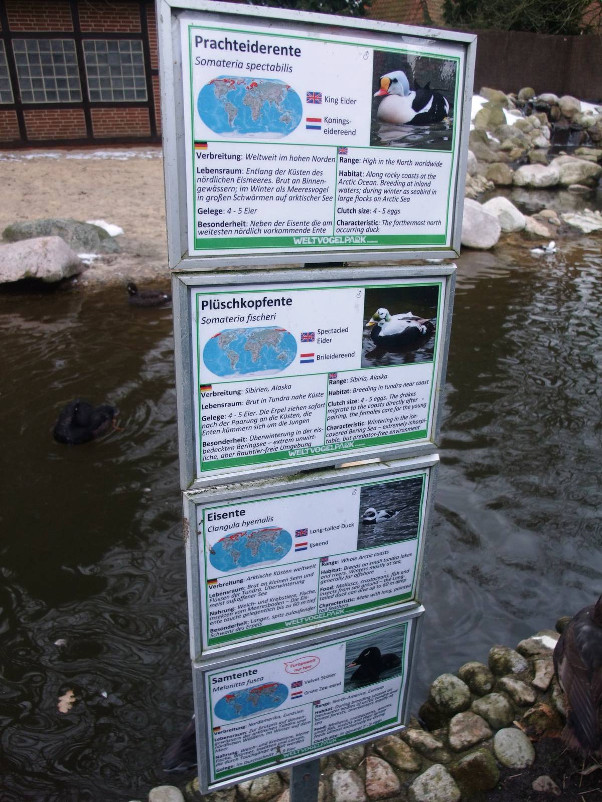 Signage Example at Walsrode, 22/03/13