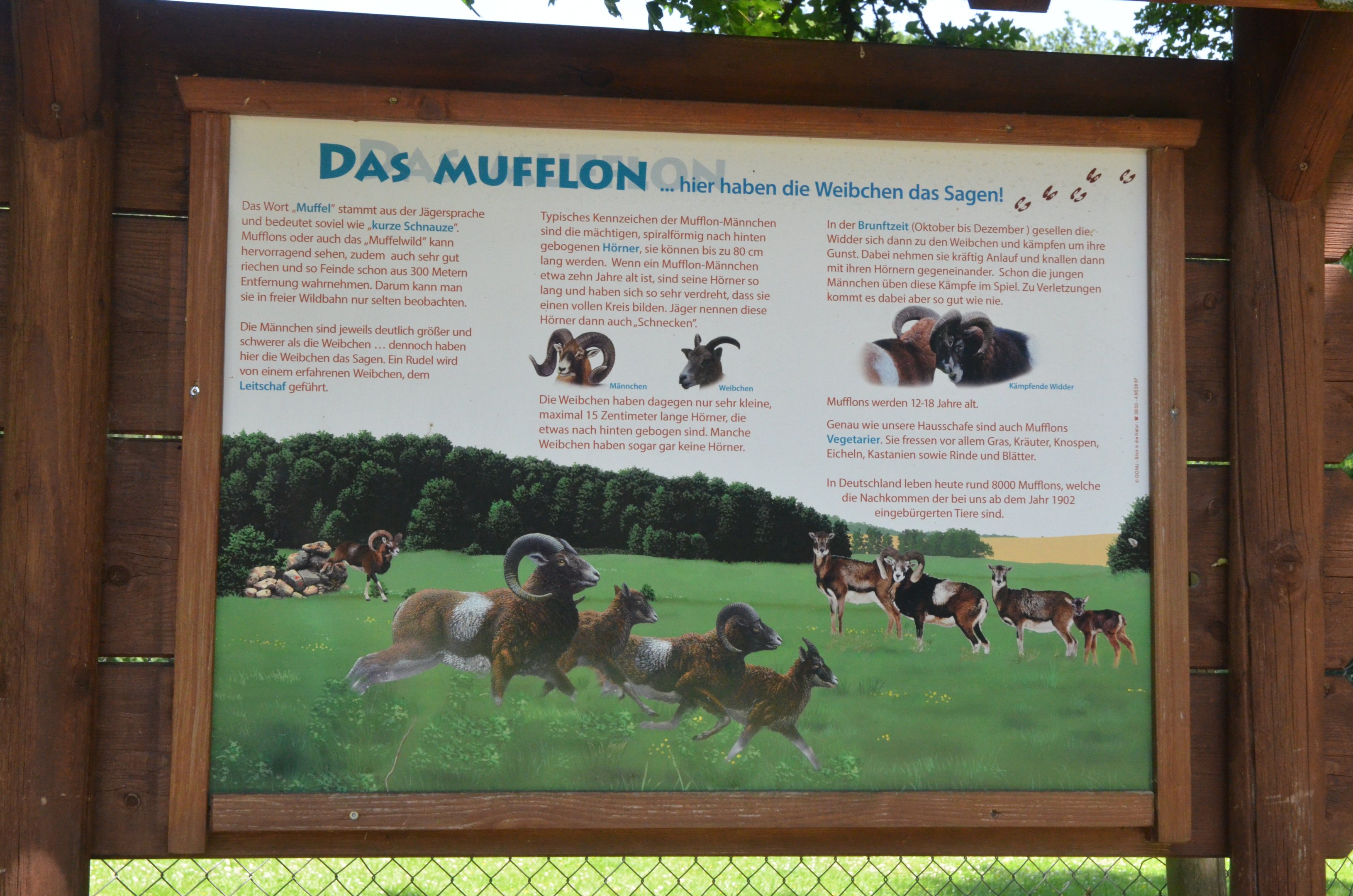 Signage Example at Wildpark Grafenberger Wald, 23/06/2019