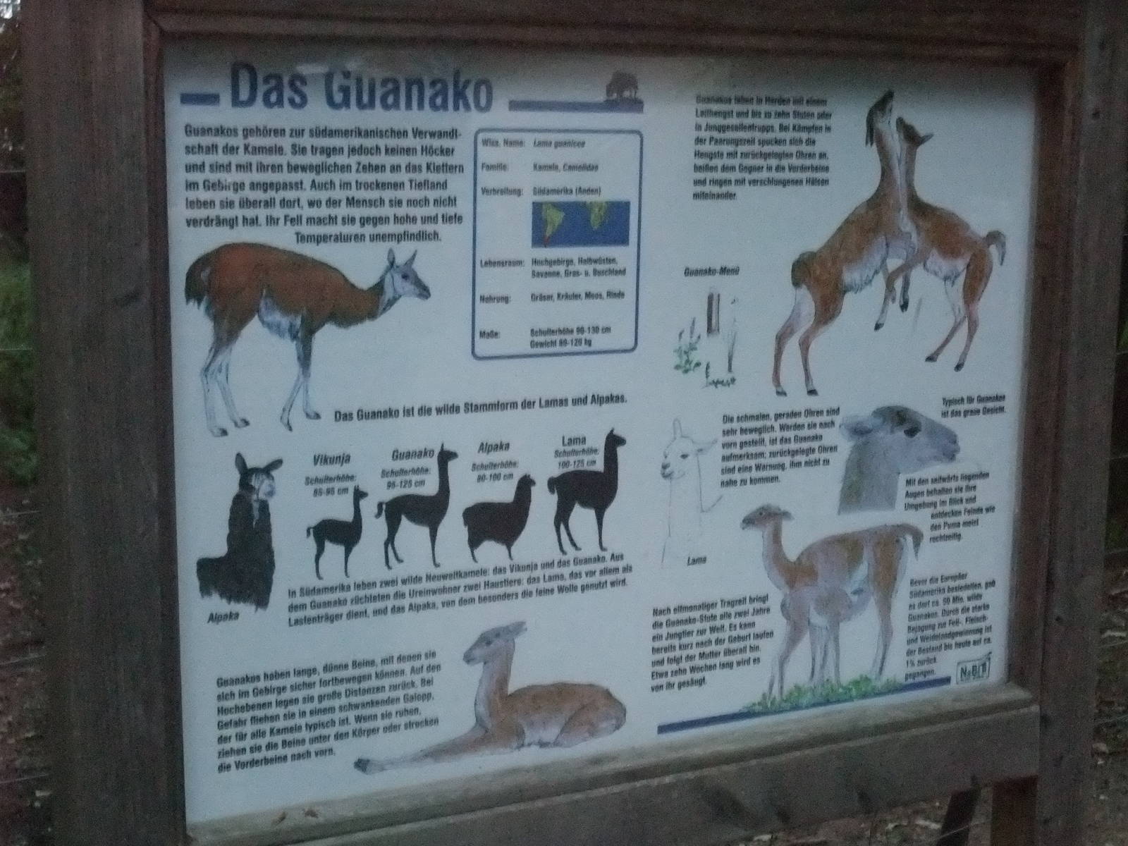 Signage Example at Wildpark Pforzheim, 02/09/10