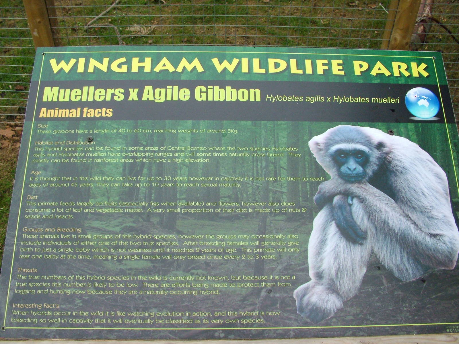 Signage example at Wingham WP, 31/07/10