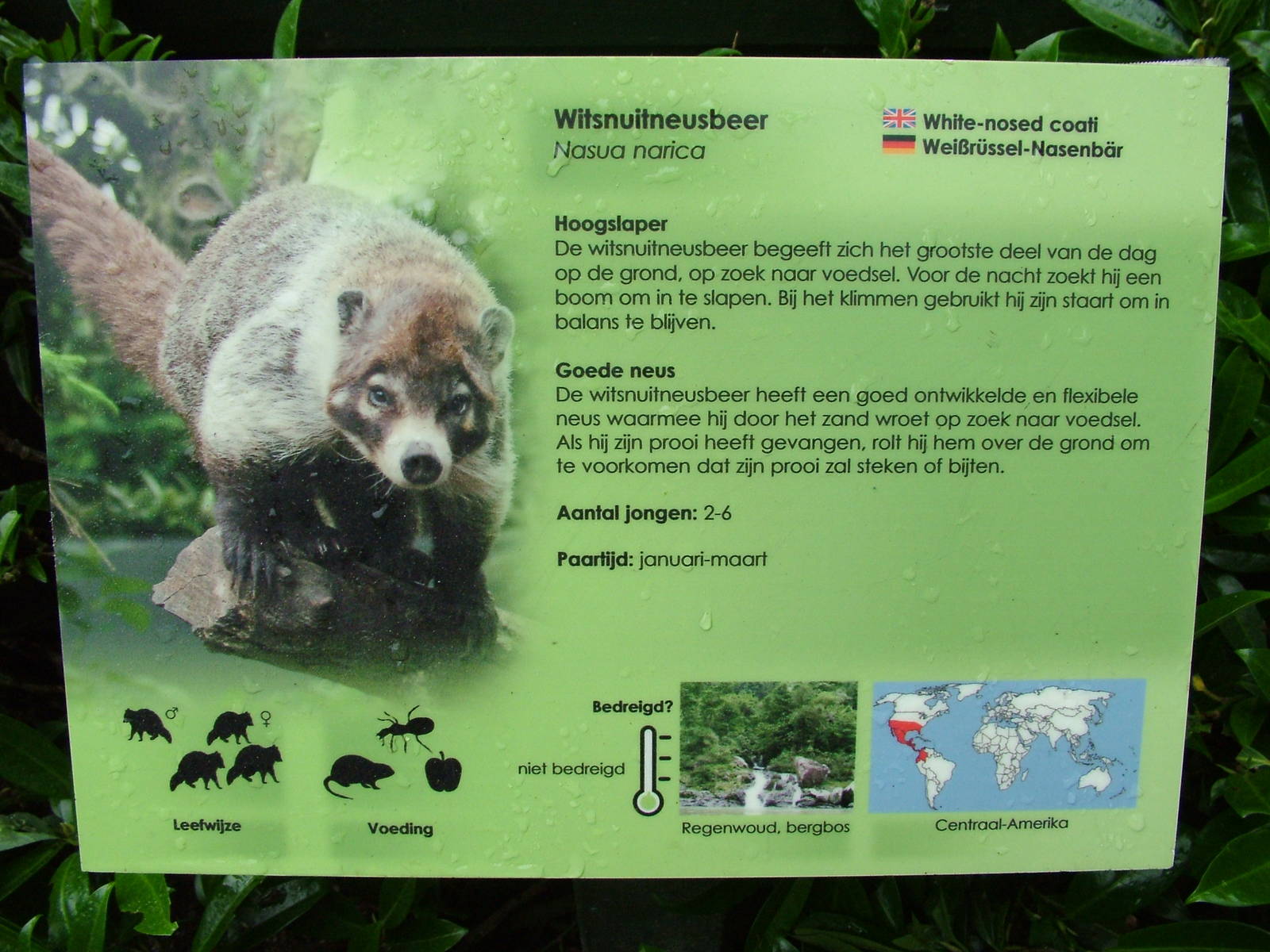Signage Example at Wissel Zoo, Epe, 01/06/12