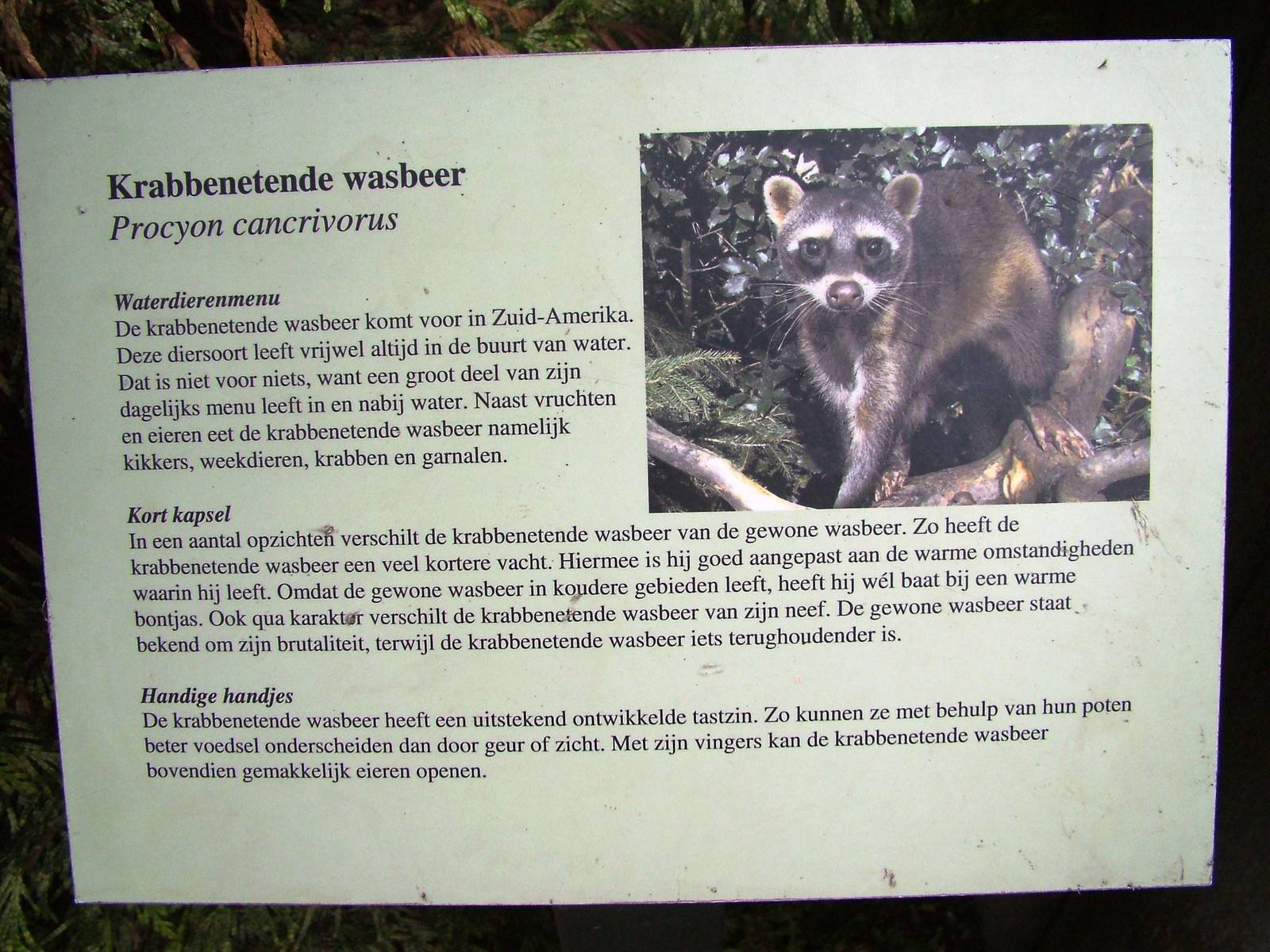 Signage Example at Wissel Zoo, Epe, 01/06/12